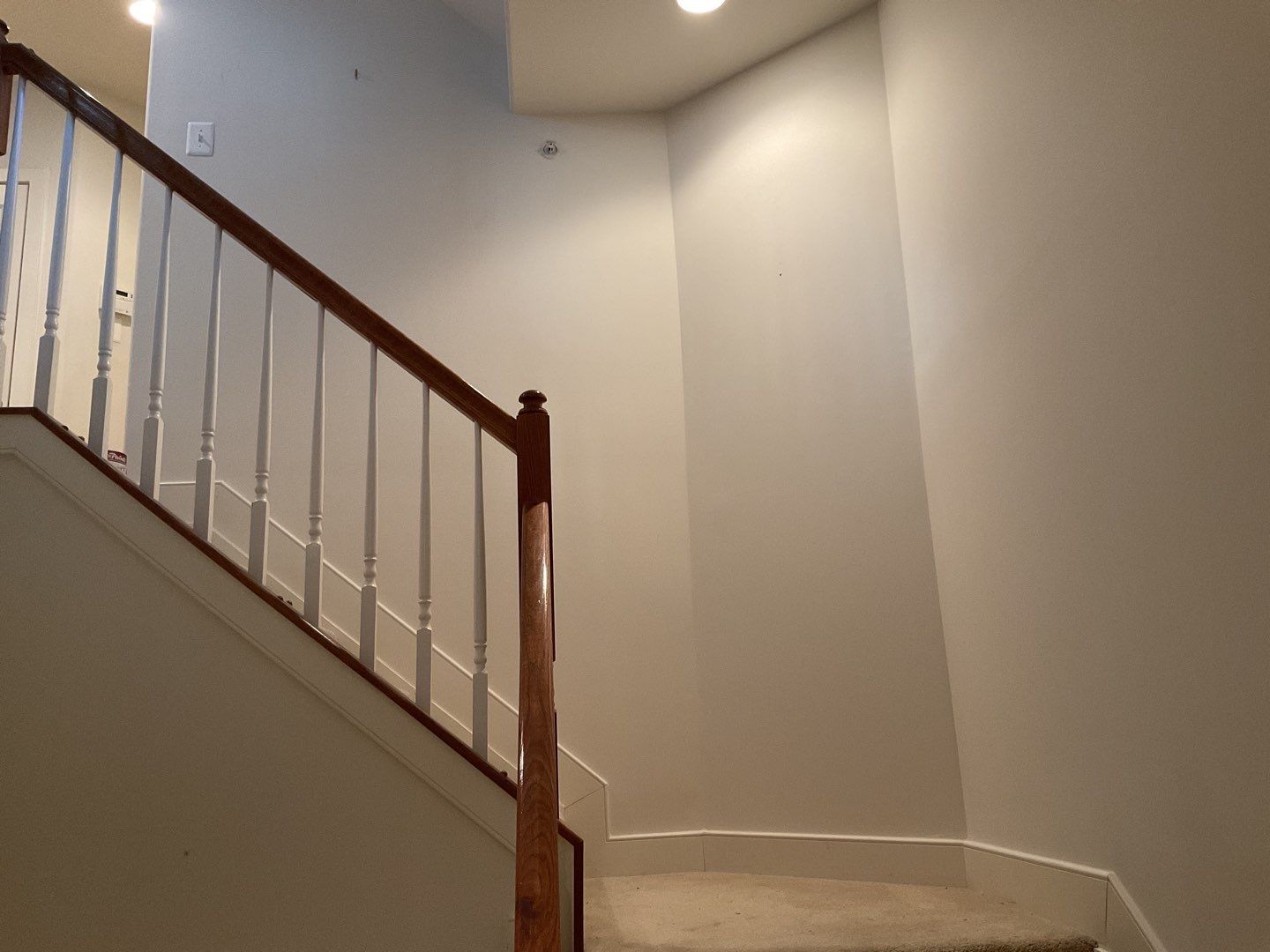 Flooring Installation using Laminate floors Installtion  by Alpha Design Services