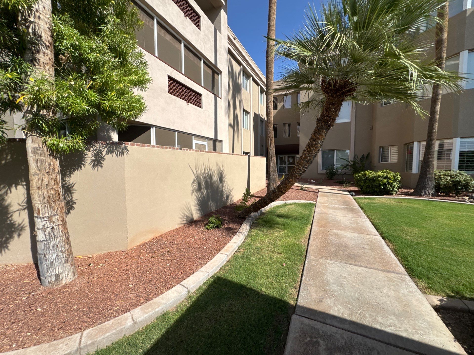 Project in Sun City by Crush Development Services LLC