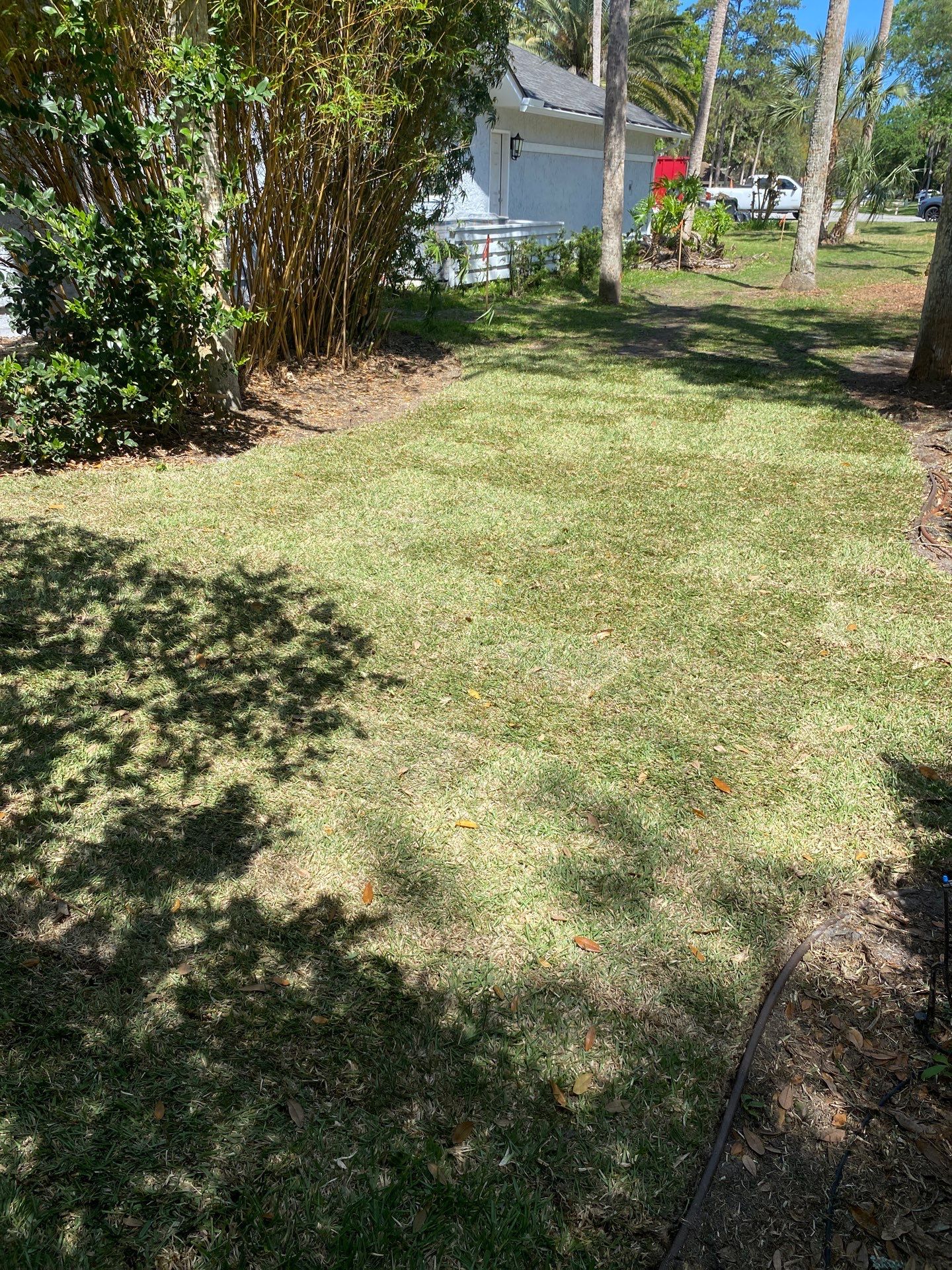 Residential | Sod Installation by ProGreen Services