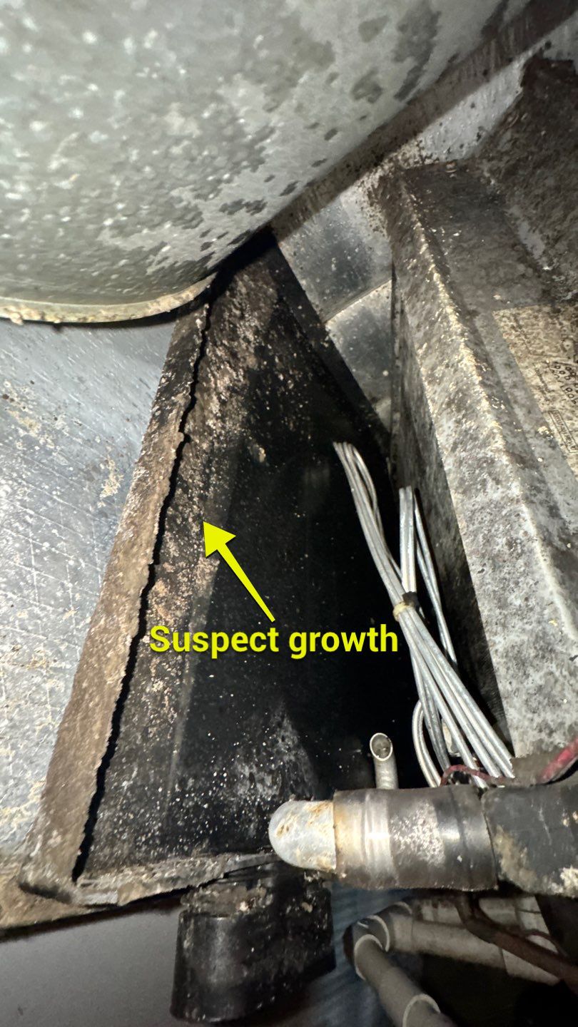 Extremely Dirty Air Duct Cleaning in Fruitland Park by Hygienic Air, Inc