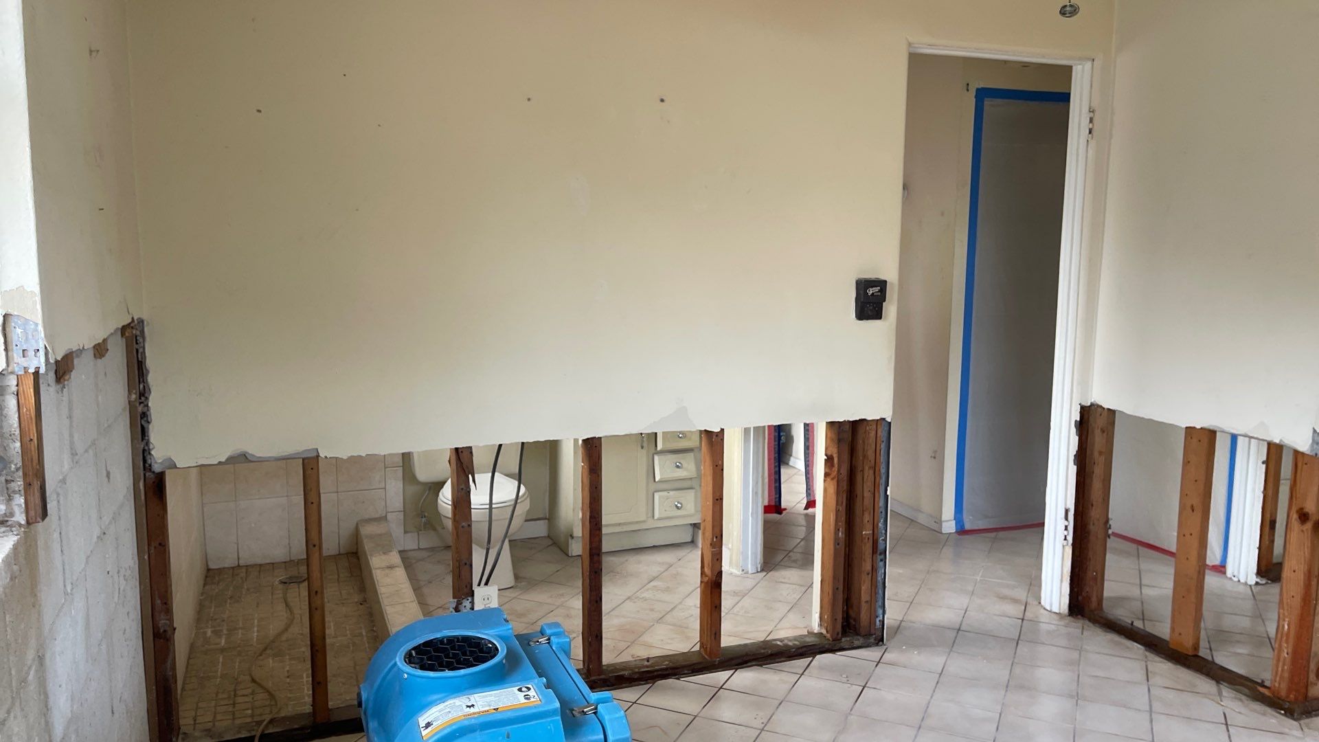 Mold Remediation  by THE RAPID TEAM