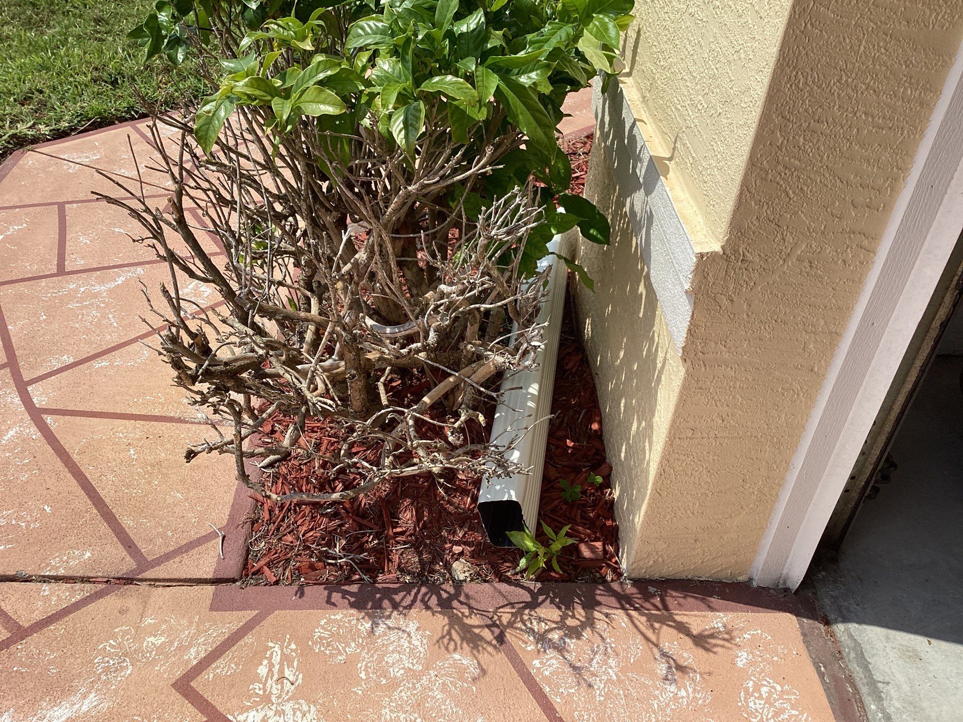 Soffit and Fascia Replacement in Fort Myers FL by Gutter Professor by Gutter Professors