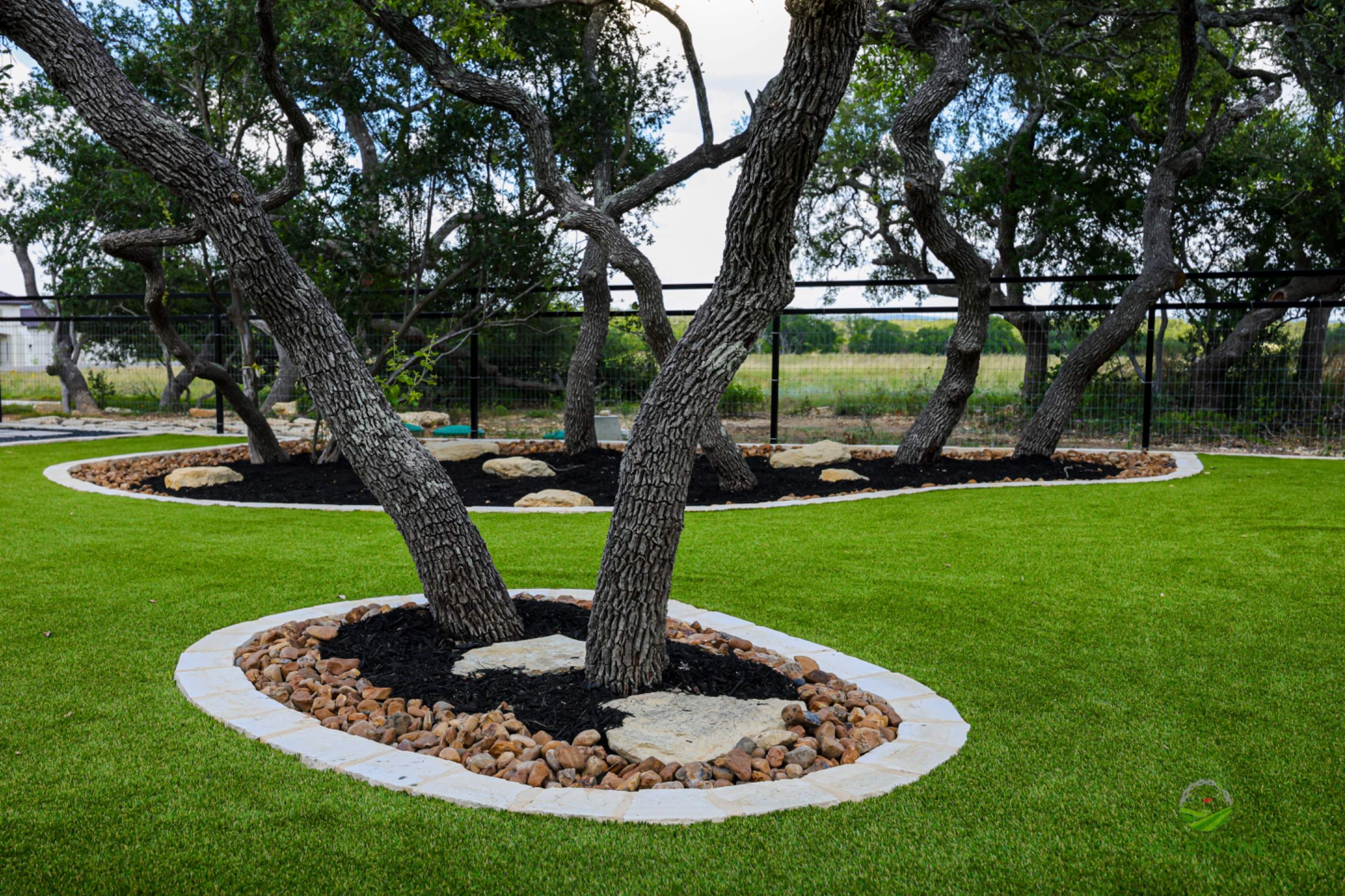Belle Oak, Bulverde Tx. by Hole In One Lawns, LLC