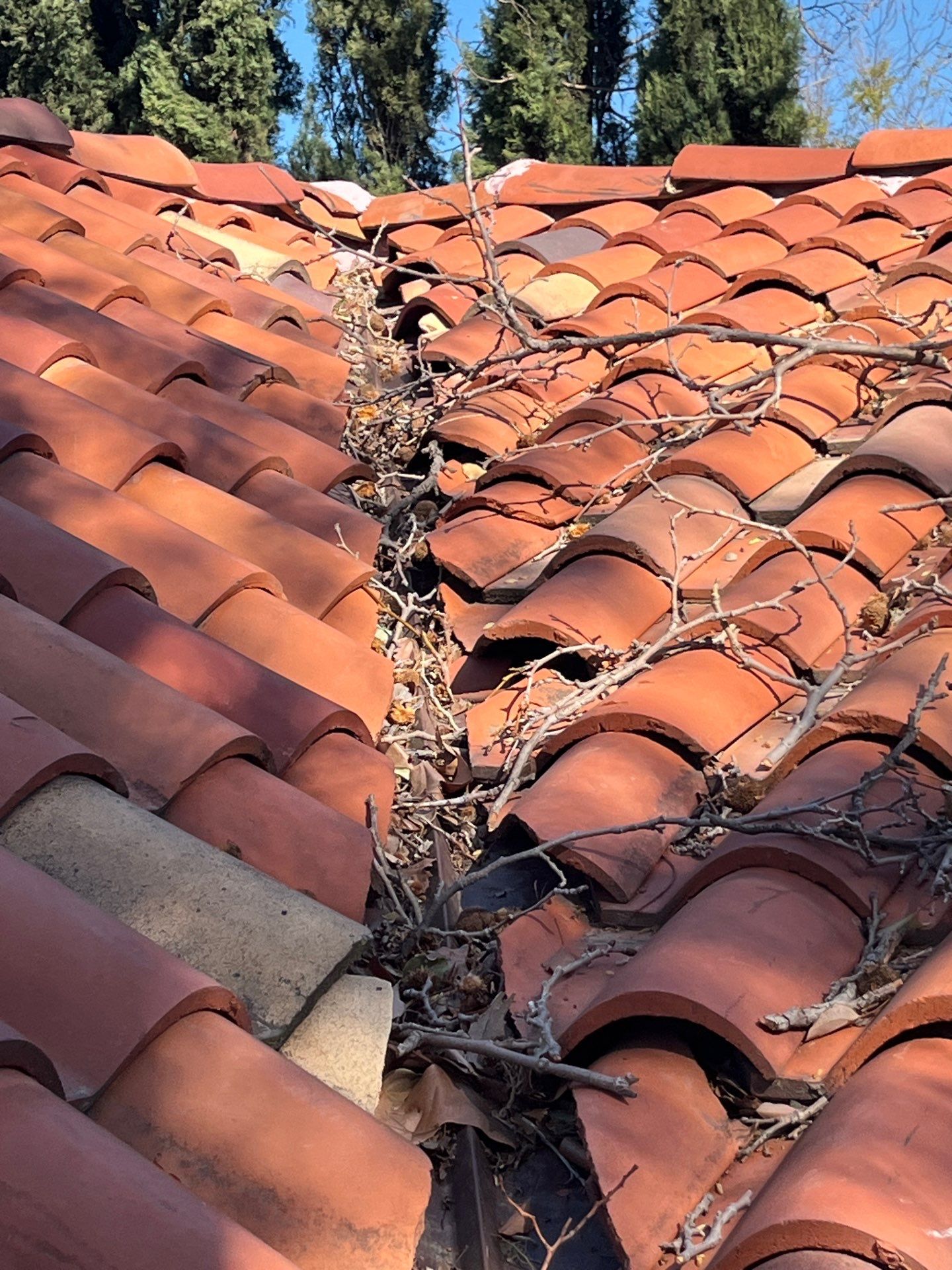 Lake Project by Green Ladder Roofing Company
