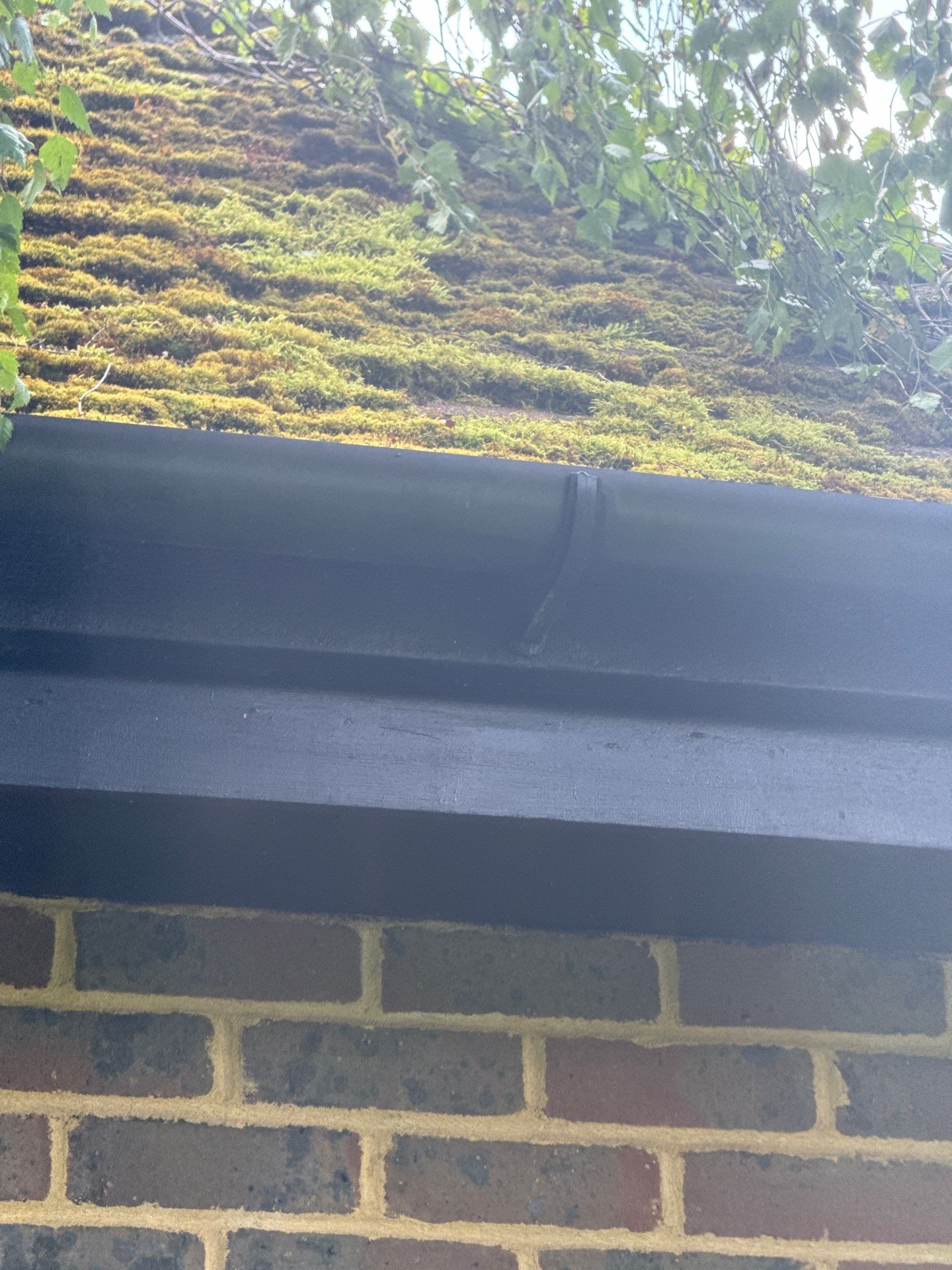 Roof Clean and Biocide Treatment using Honda 15lpm Low Pressure Washing Machine by Ges Exterior Cleaning ltd