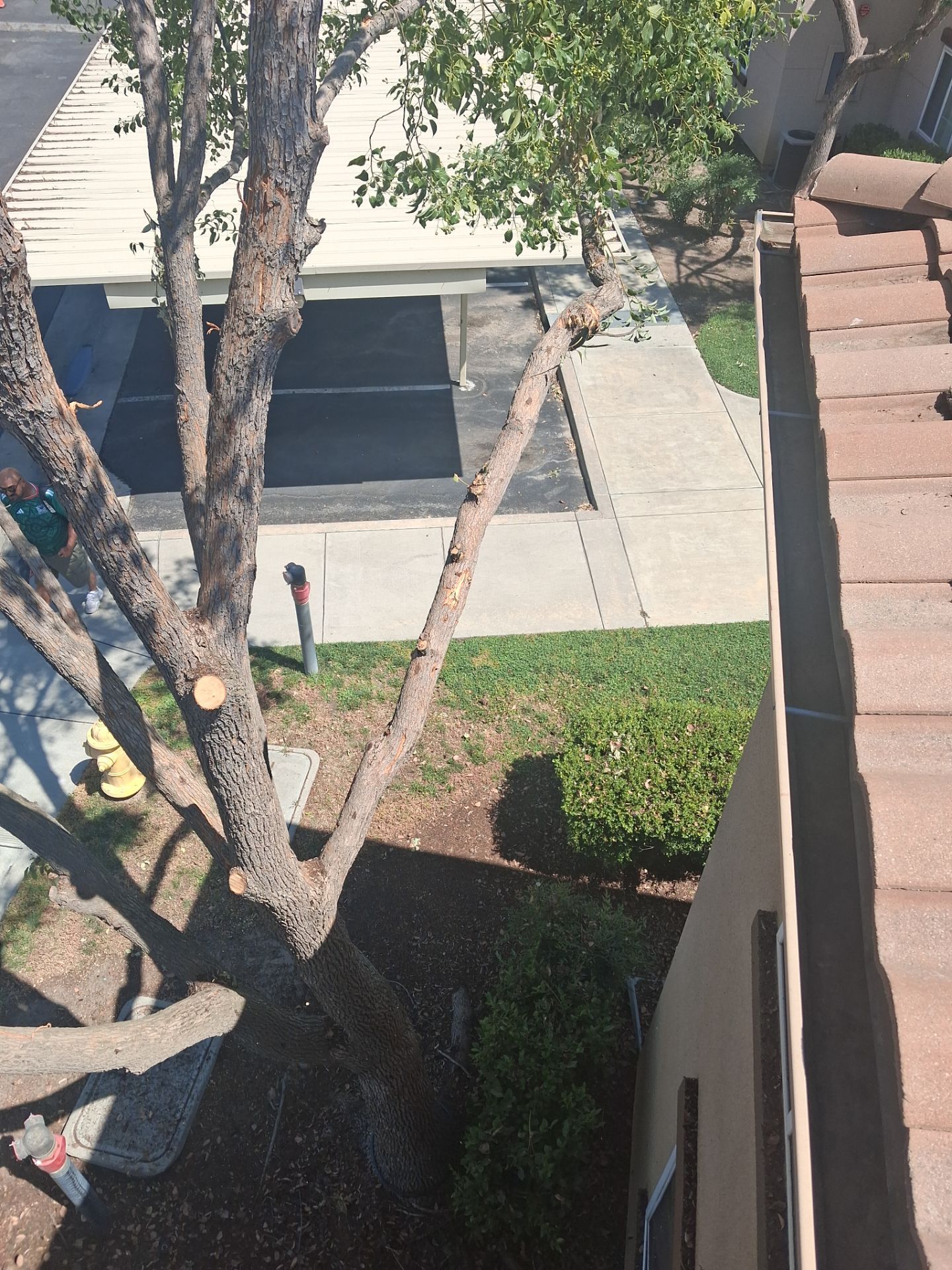 Commercial gutter cleaning Parlier, CA after photo with clean gutters