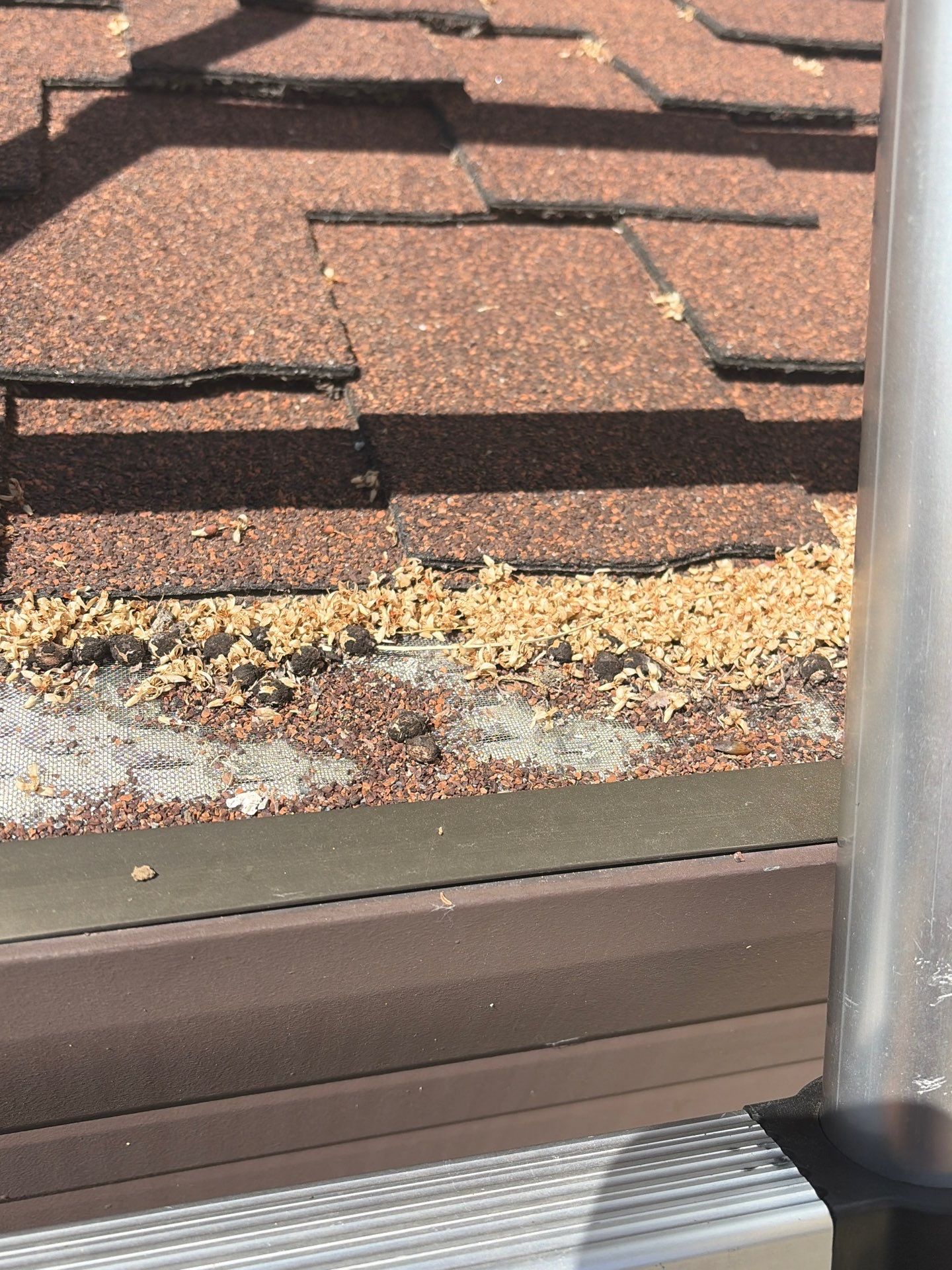 Roof Rejuvenation using Roof Maxx Treatment by Roof Maxx of Folsom