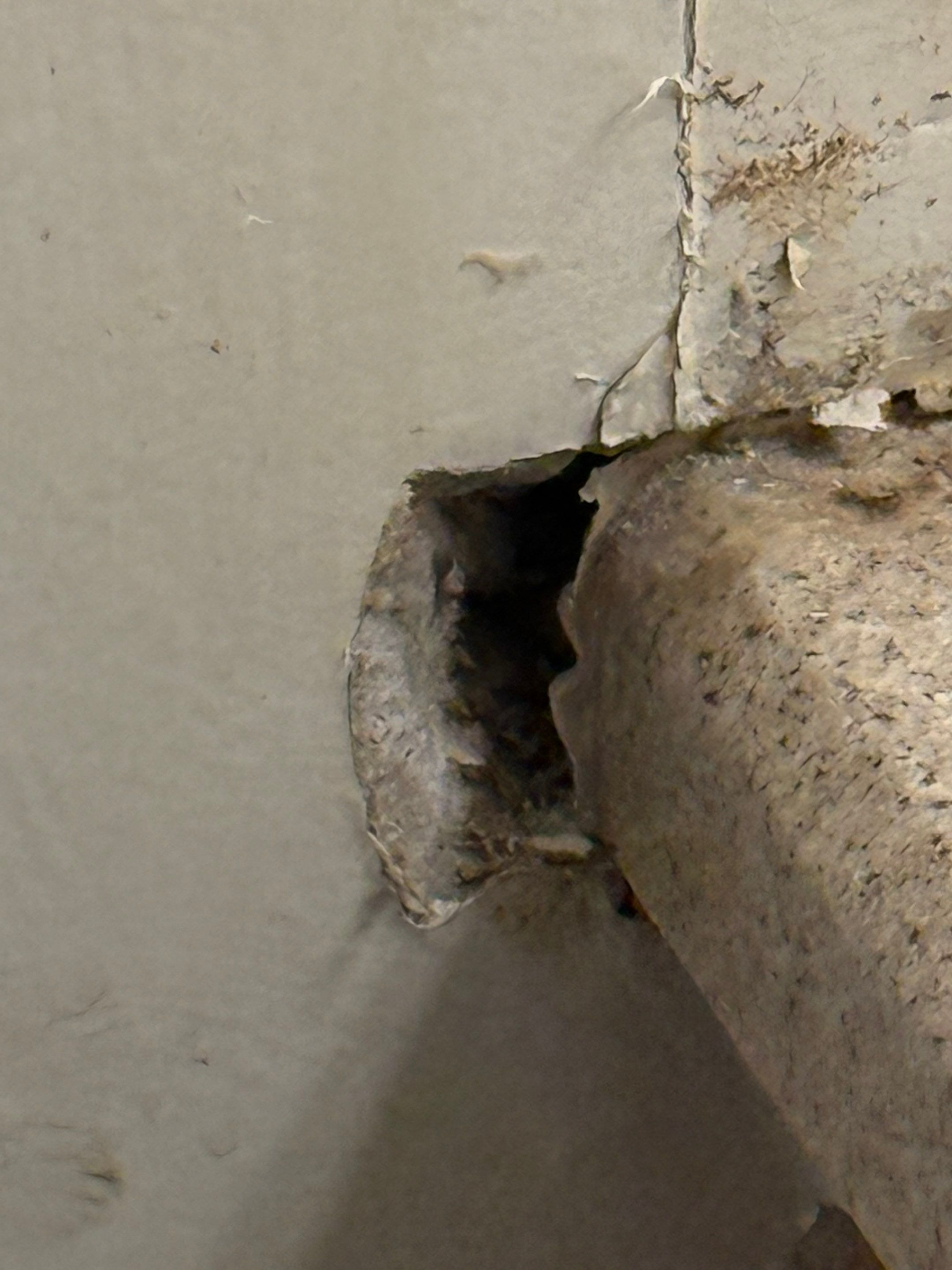 Project in Springfield by Restoration Doctor