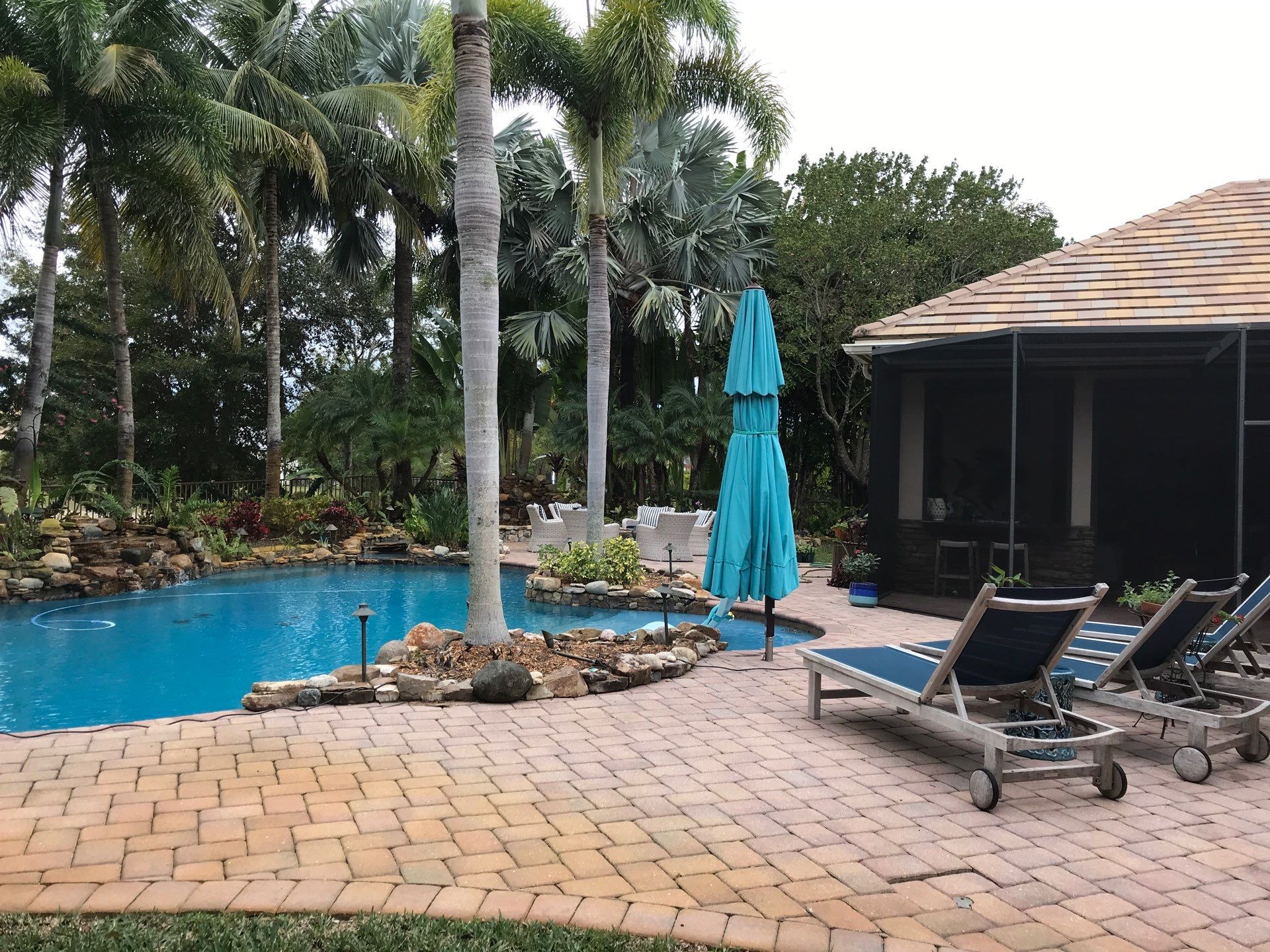Palm Perfection & Poolside Restoration in Lighthouse Point by Alpha Zeta Enterprises Inc