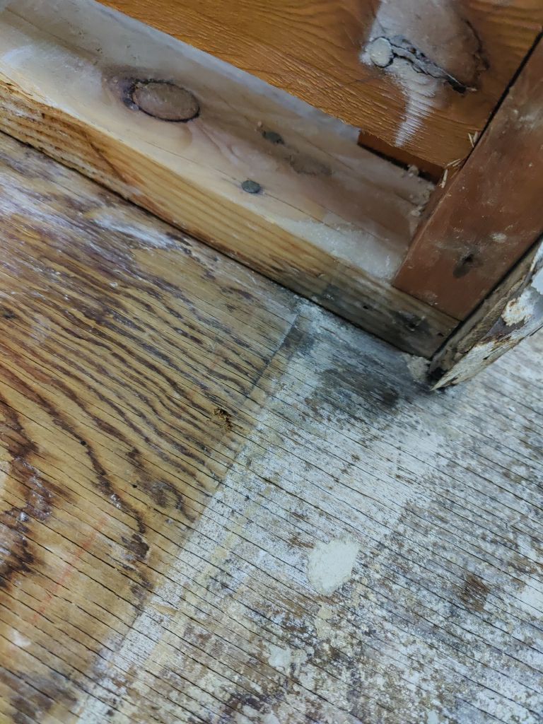 Mold Remediation  by Accountable Home Services