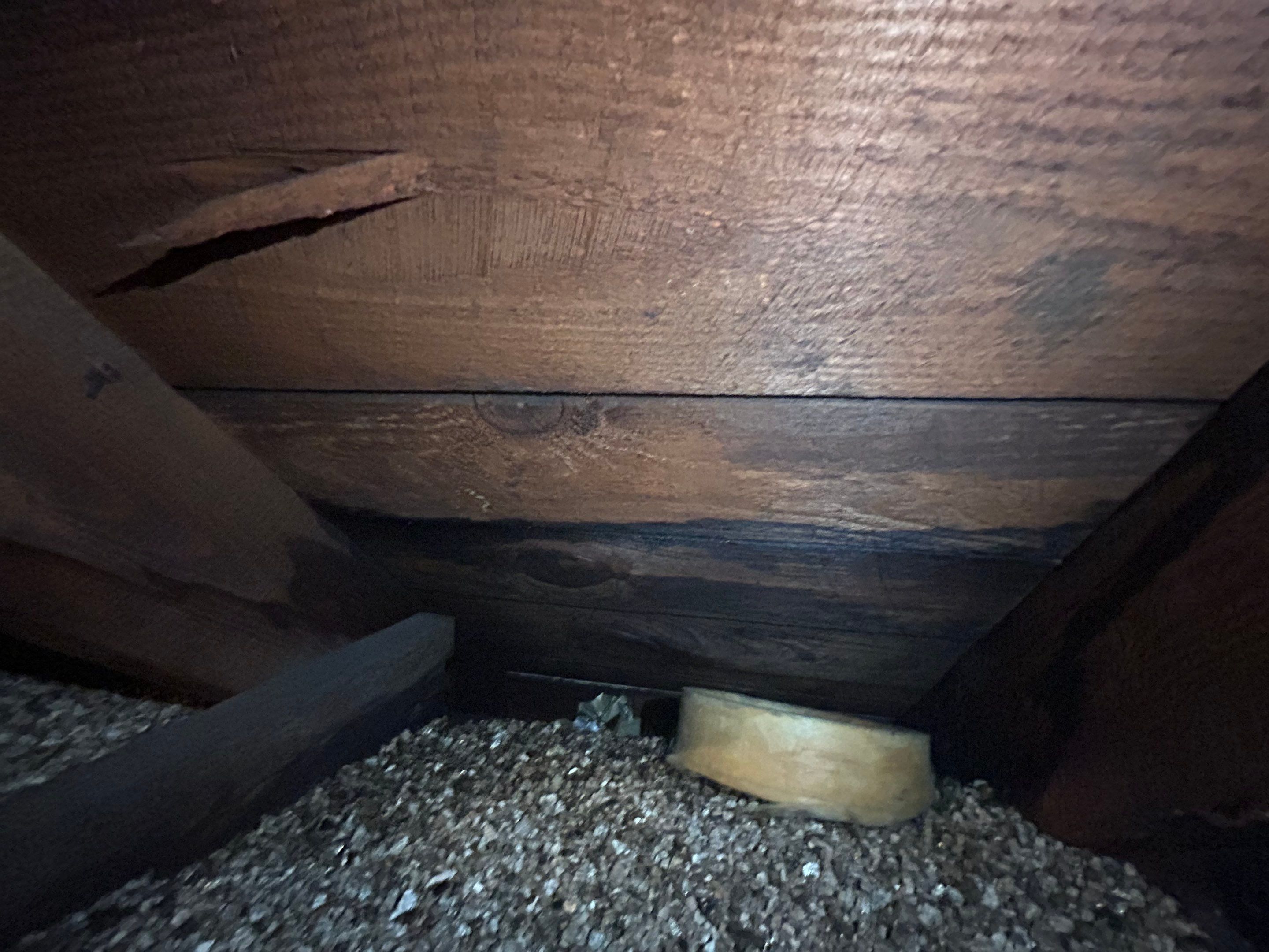 Alexandra: Residential Metal Roofing  by RM Banning, Inc.