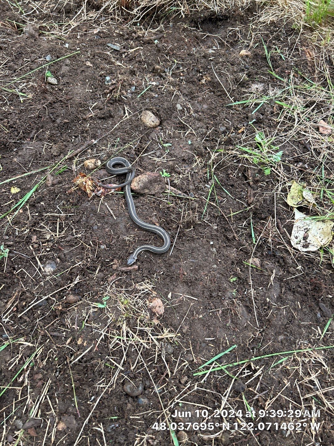 Monolithic Concrete Slab Foundation | Lake Stevens by Jireh Asphalt & Concrete Inc 