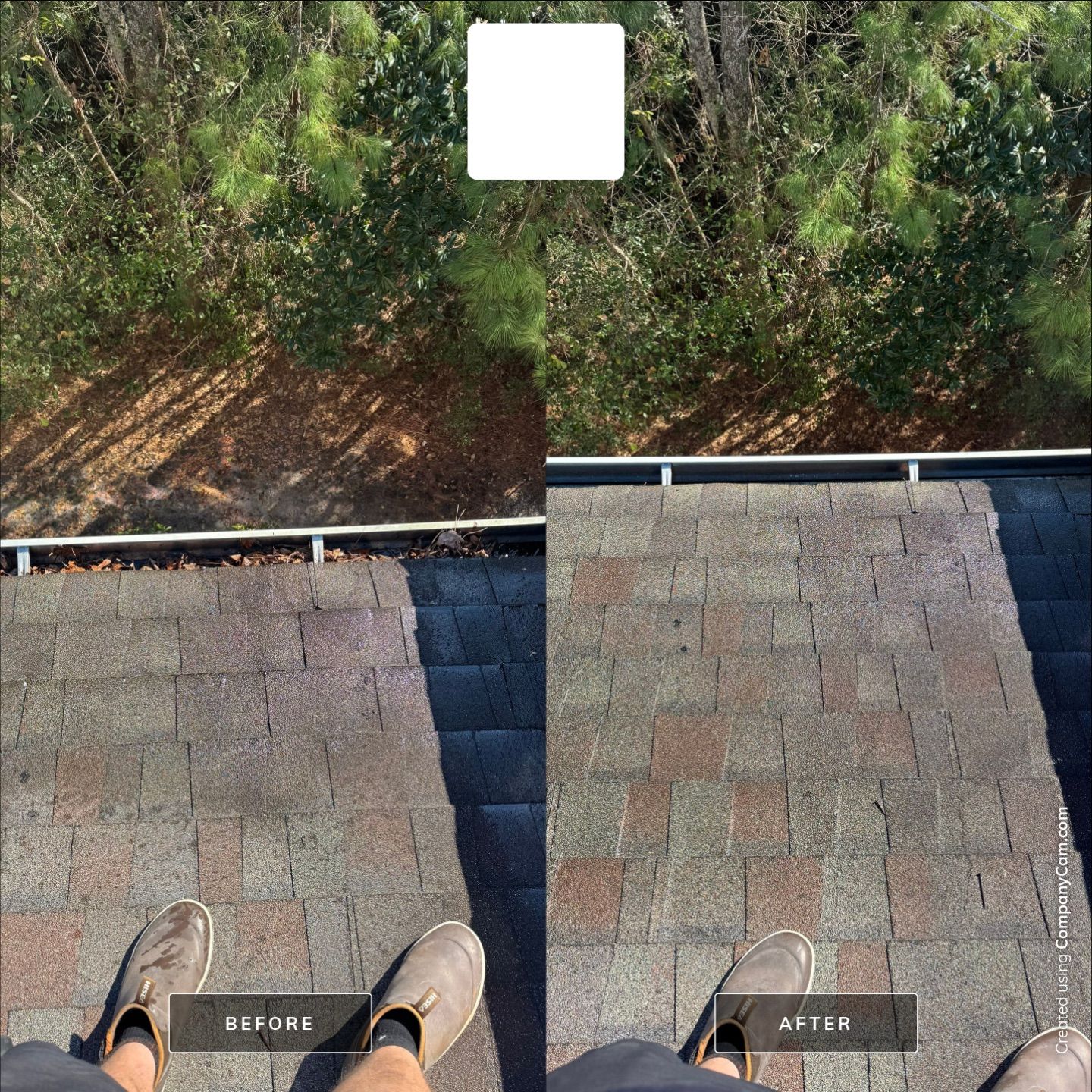 Apartment Gutter Cleaning by Shark Power Washing