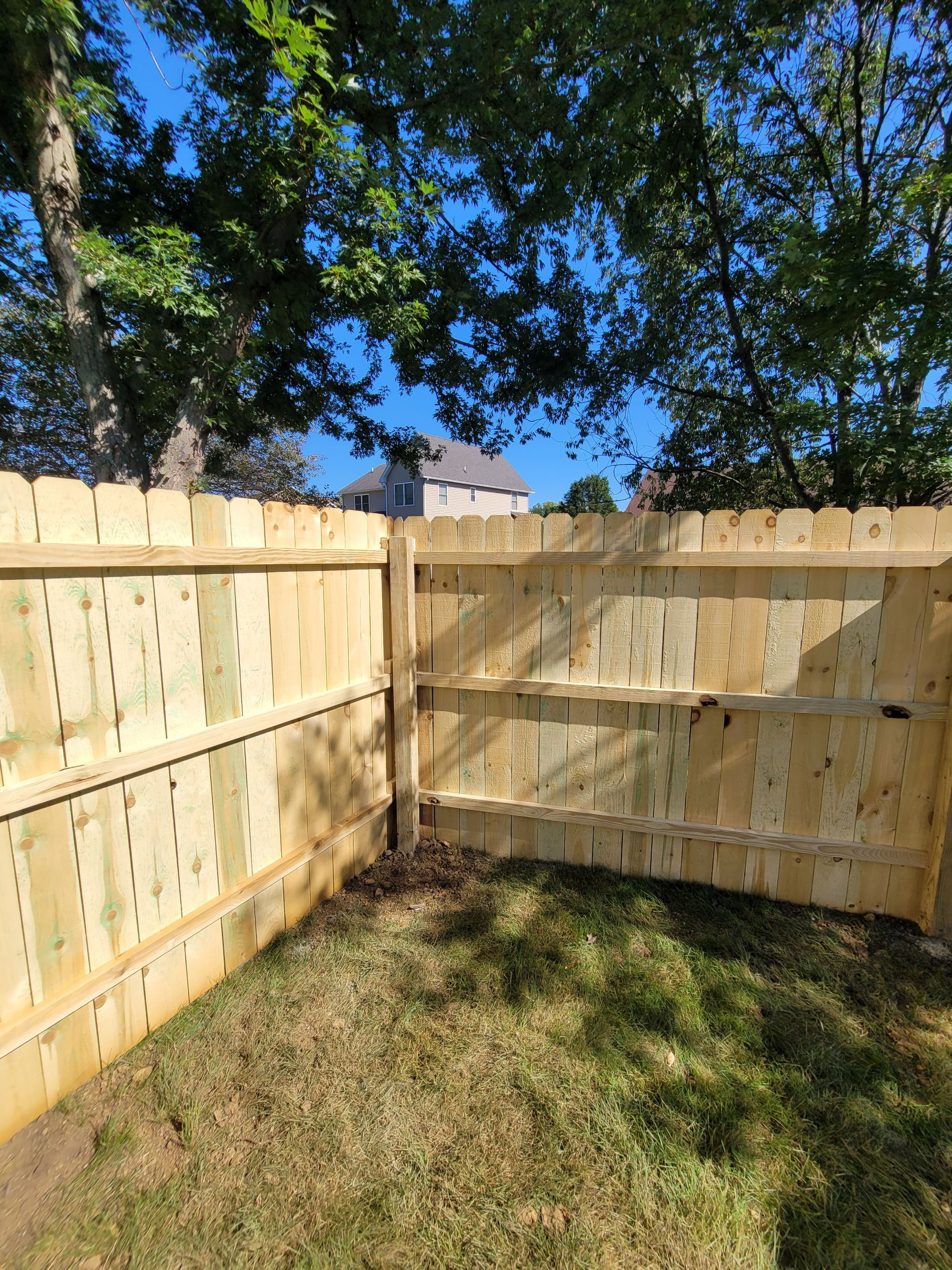Anthony Wise by Silver Leaf Contracting 