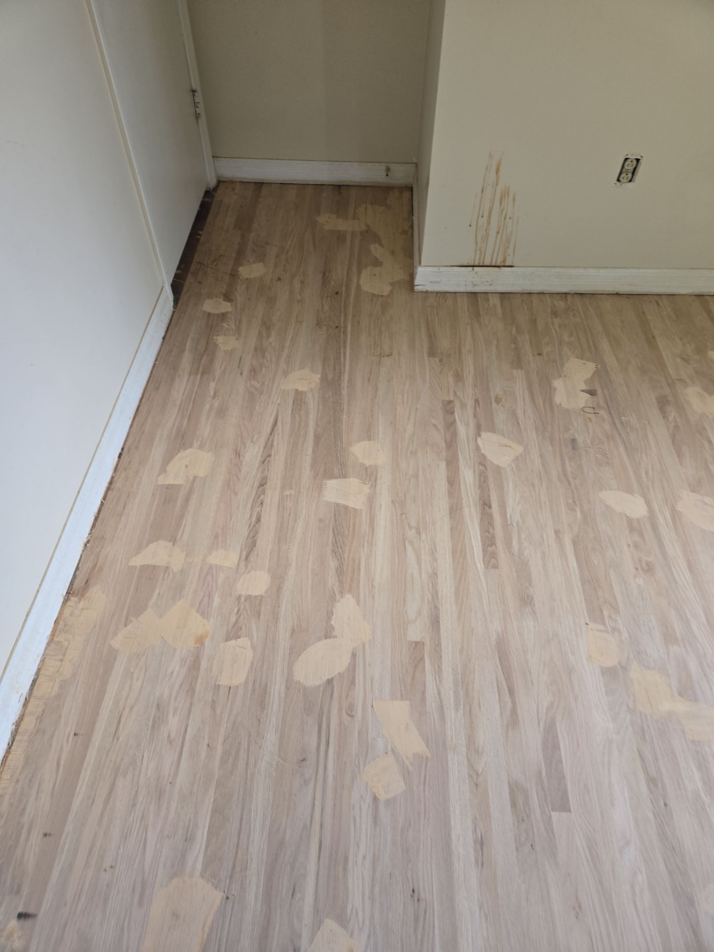 Under Carpet Reveal  by Footprints Floors of Nashville