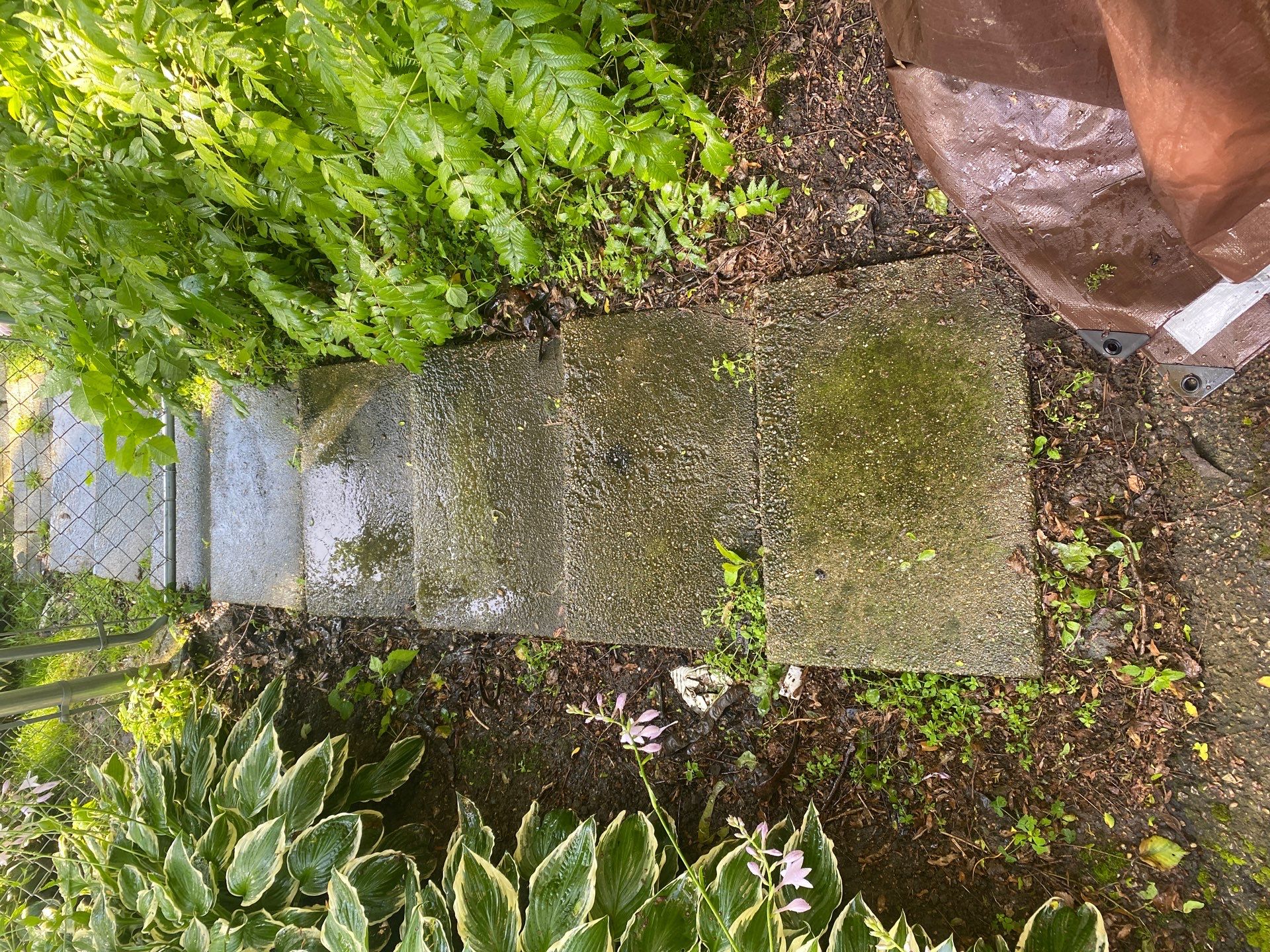 Wood and path clean by Shulla Exterior Cleaning