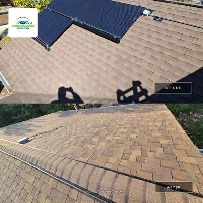 Shakewood Shingles