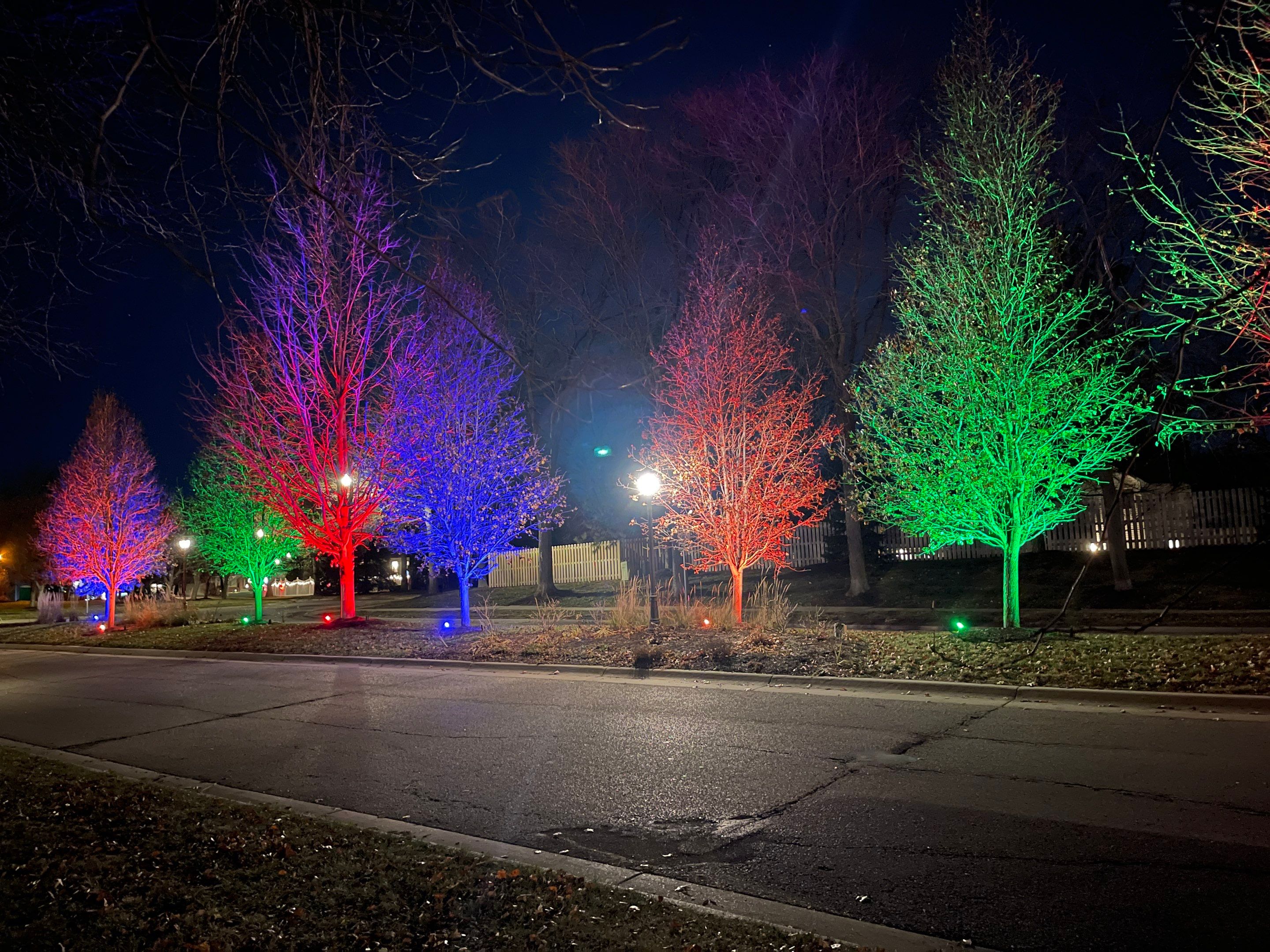 Williamsburg by Midwest Lightscaping