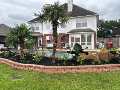 🌿 Larry Caudillo’s Poolside Landscape Revamp
