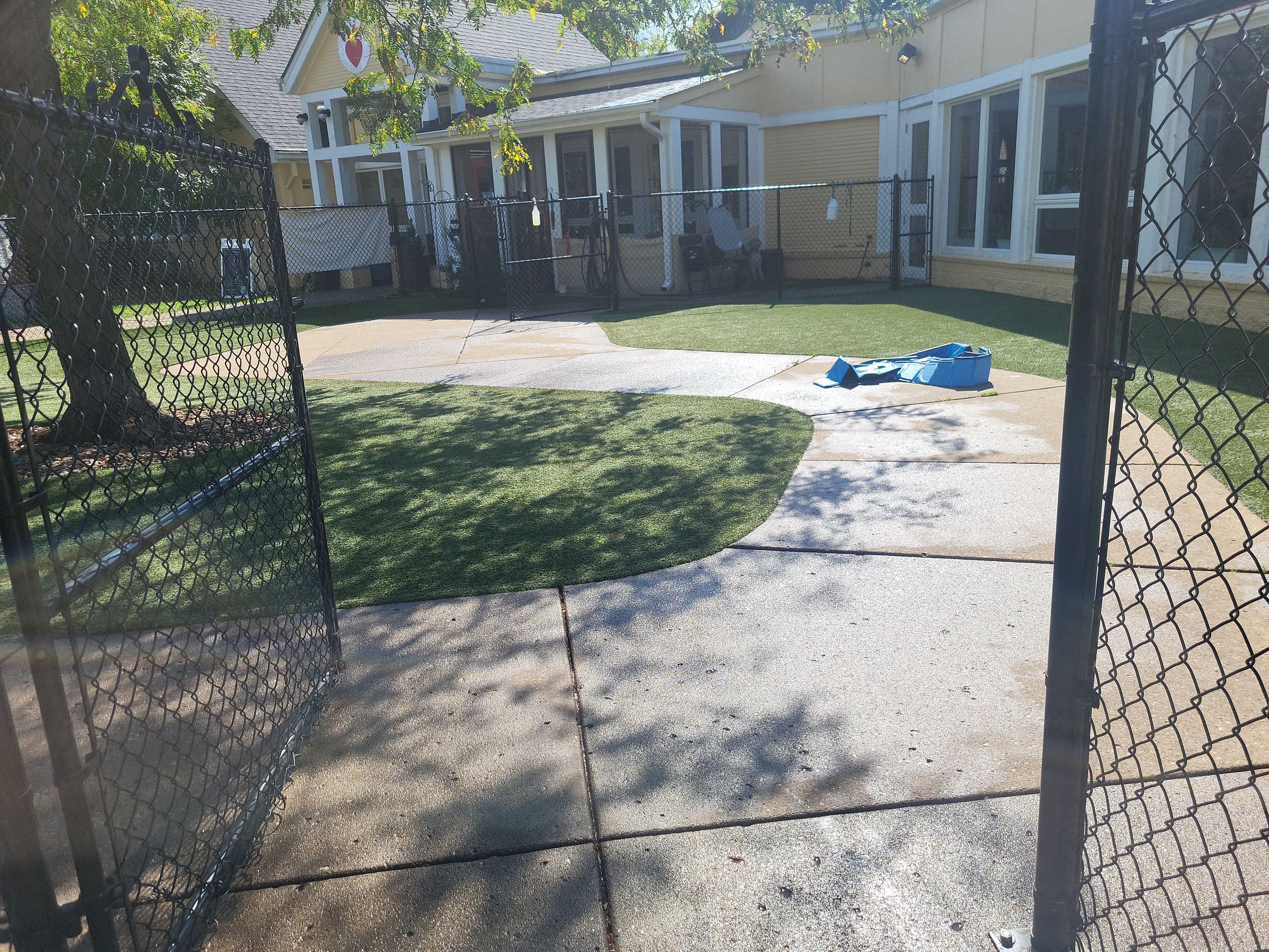 Synthetic Pet Lawn for Indy Humane by Southwest Greens Midwest