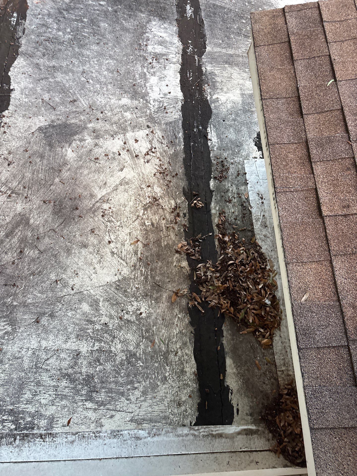 Project in Palm Harbor 34684 by Mitchell Roofing Company LLC