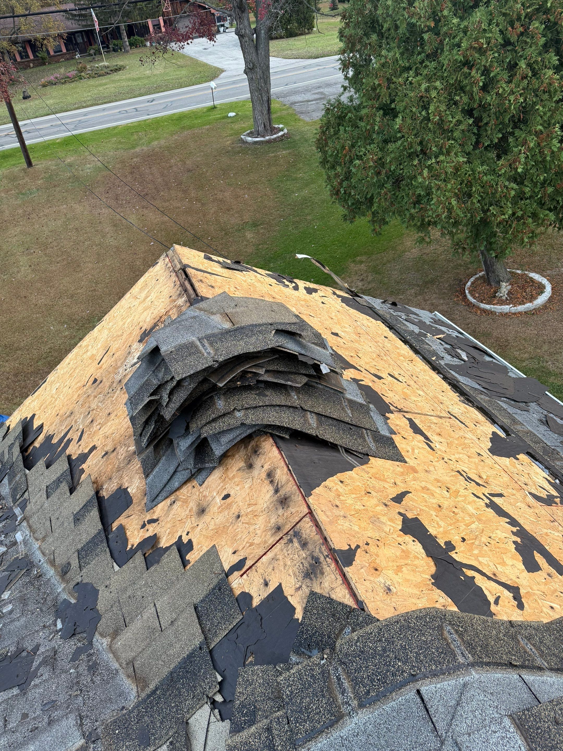 Project in Holland by Serene Construction