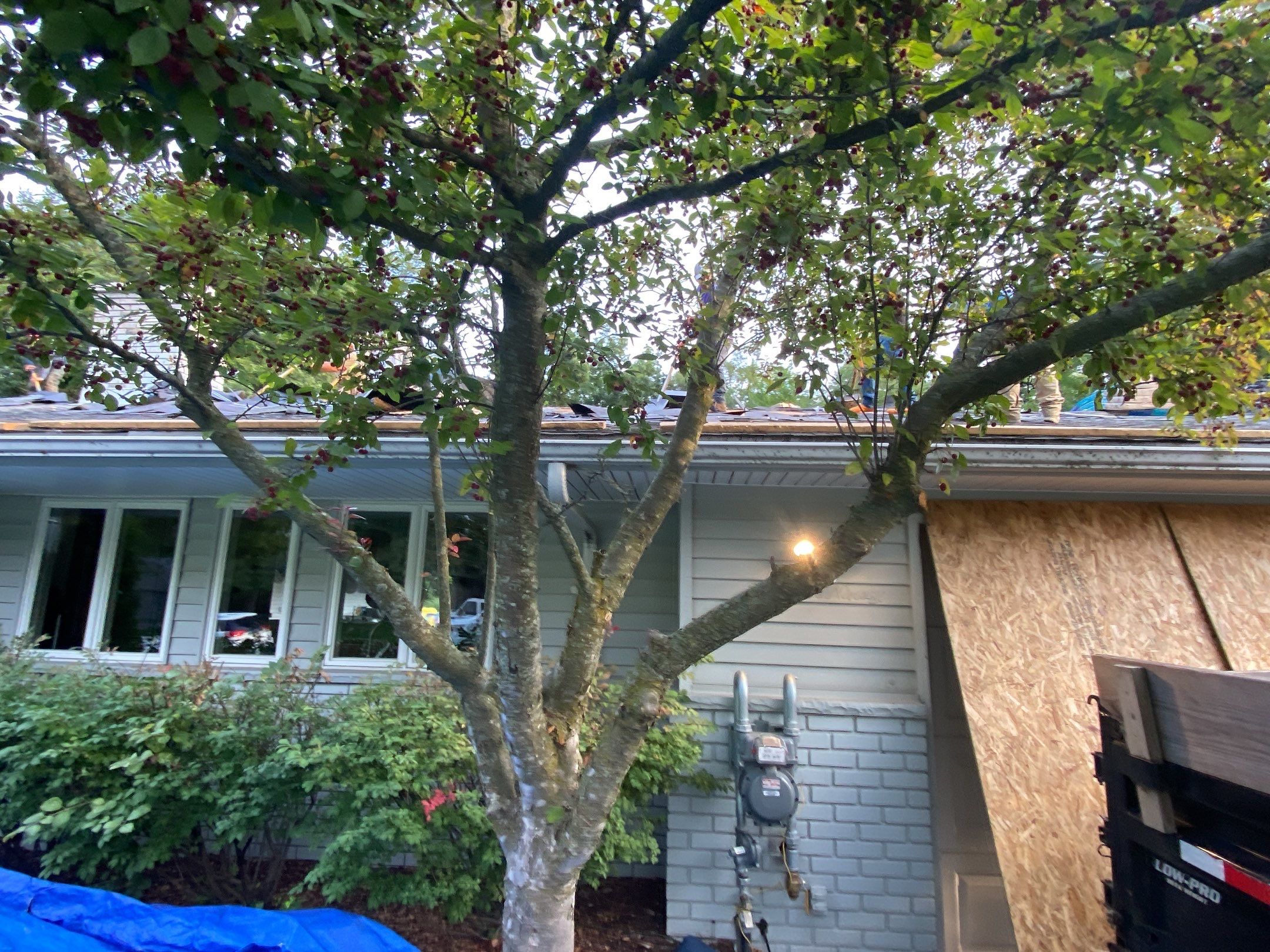 Roof Replacement using CertainTeed Landmark by 180 Contractors