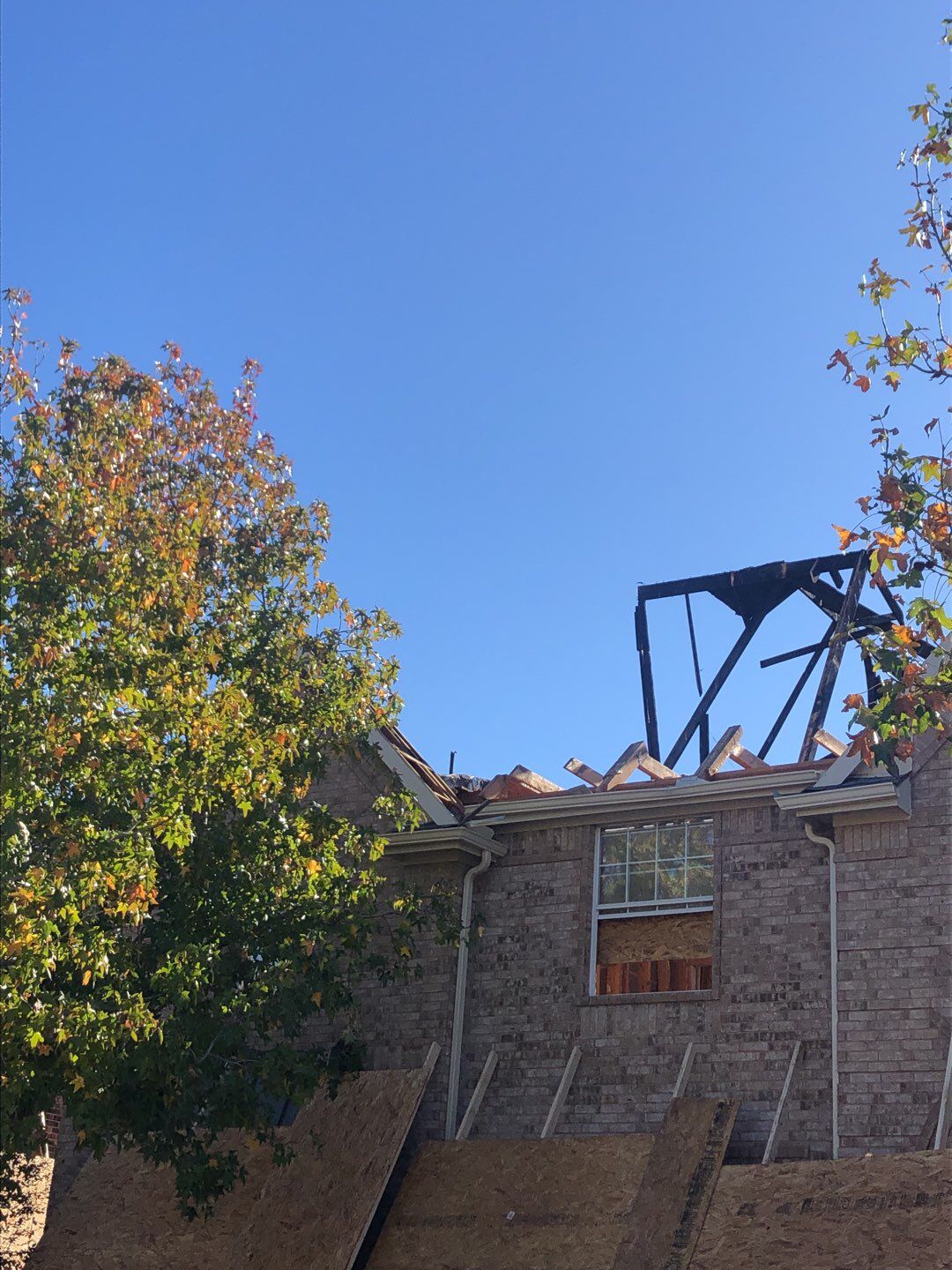 Fire Restoration project by Springtree Restoration 