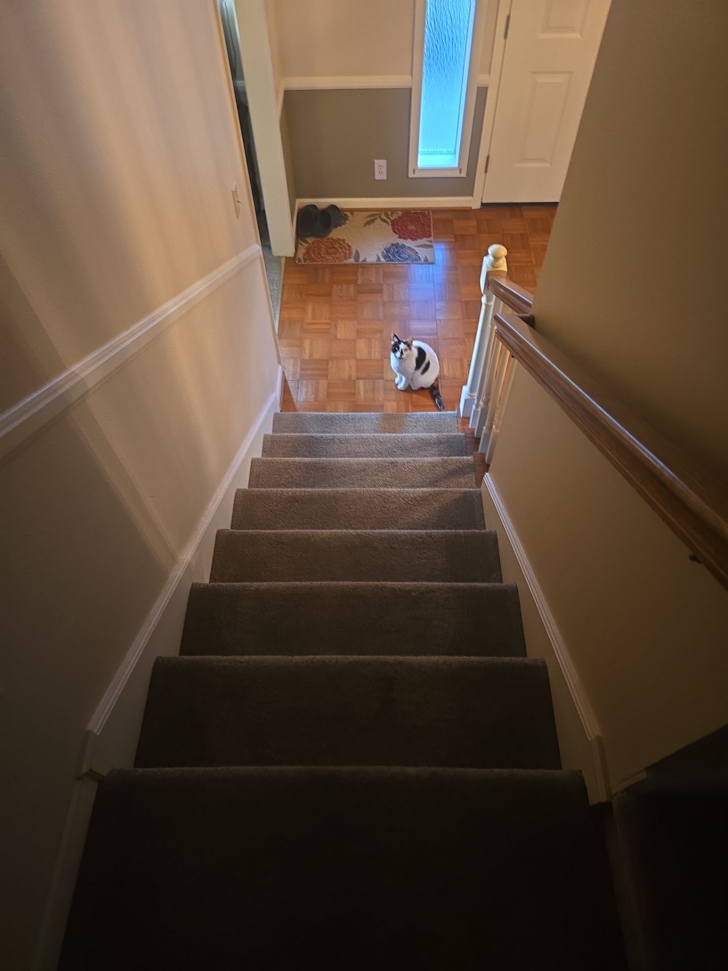 Engineered Wood Flooring Installation and Staircase Upgrade in Brookings by KMD Surfaces INC.