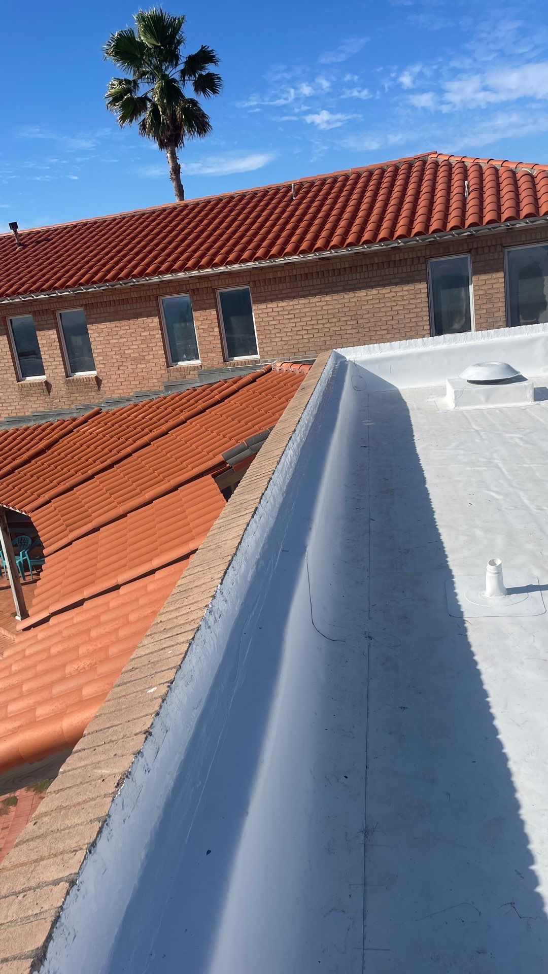 Problems in Paradise  by Bayfront Roofing and Construction