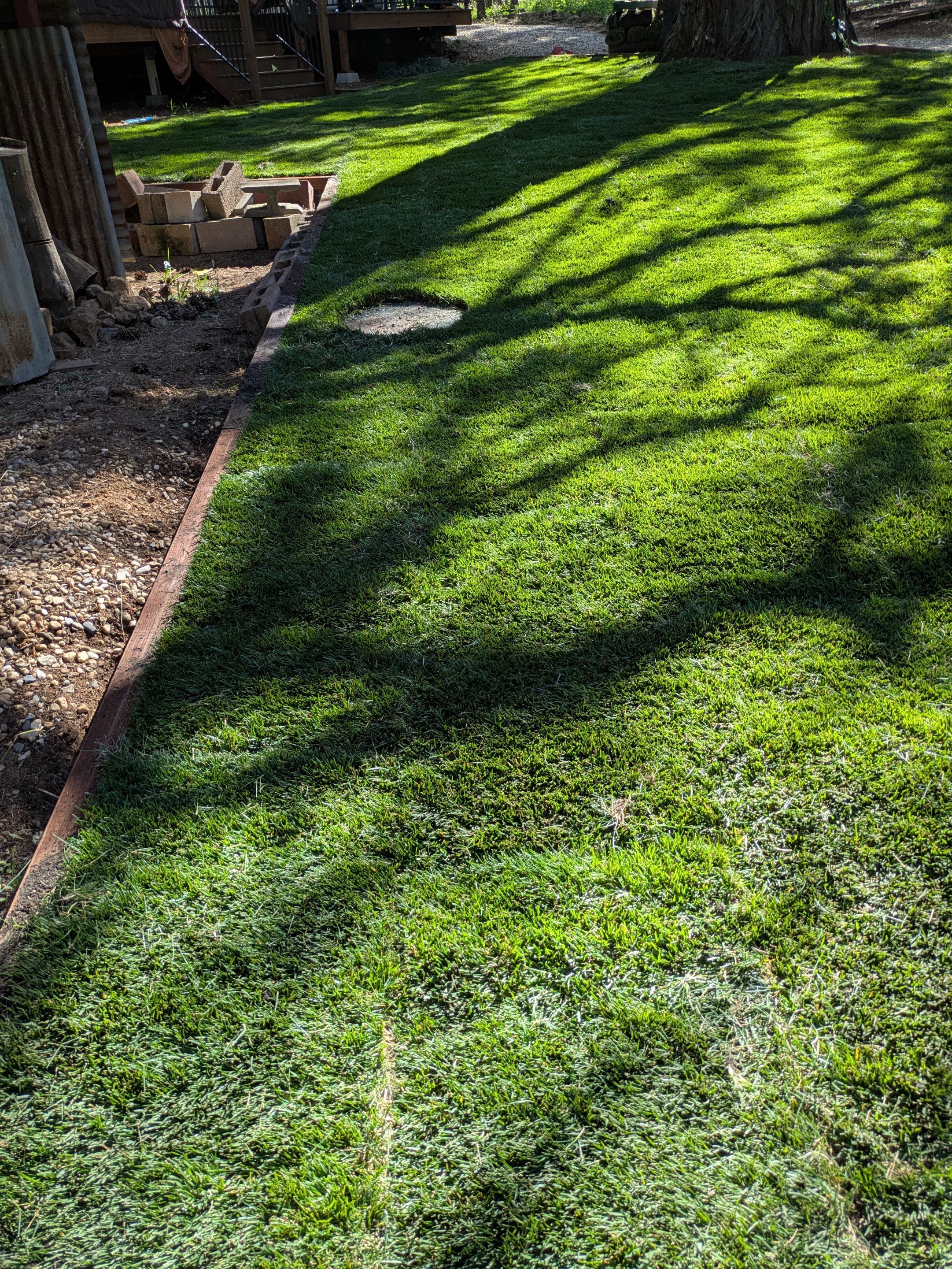Project in Grass Valley by A - G Sod Farms