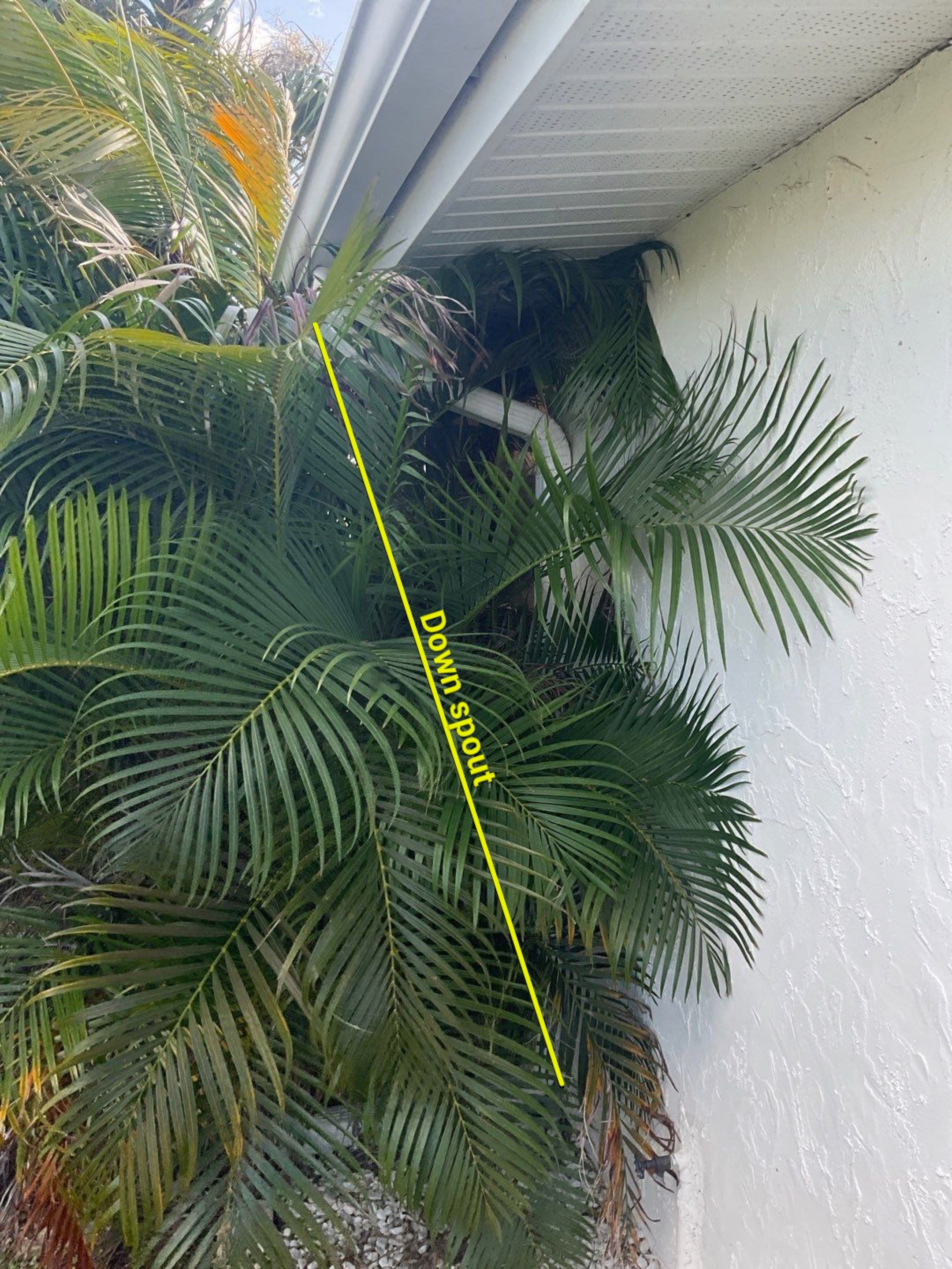 Vinyl Soffit and Fascia Refresh in St James City FL by Gutter Professors