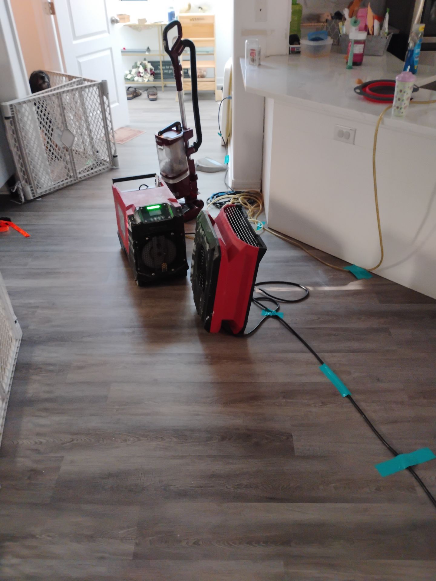 Project in Hudson by 1-800-Dry-Me-Out