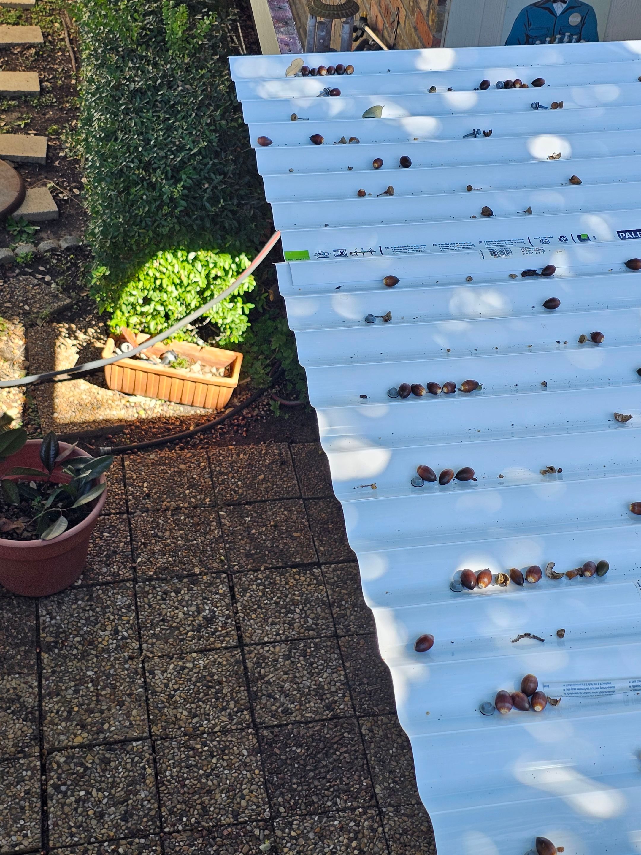 Roof replacement, popcorn removal, fence stain & paint by EL-GC LLC 