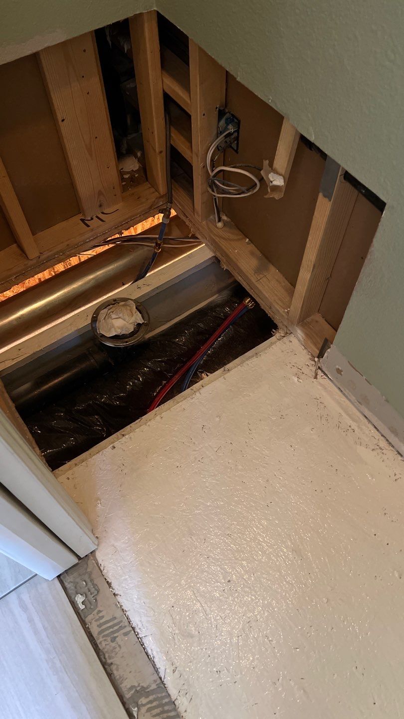 Mold Remediation by Accountable Home Services