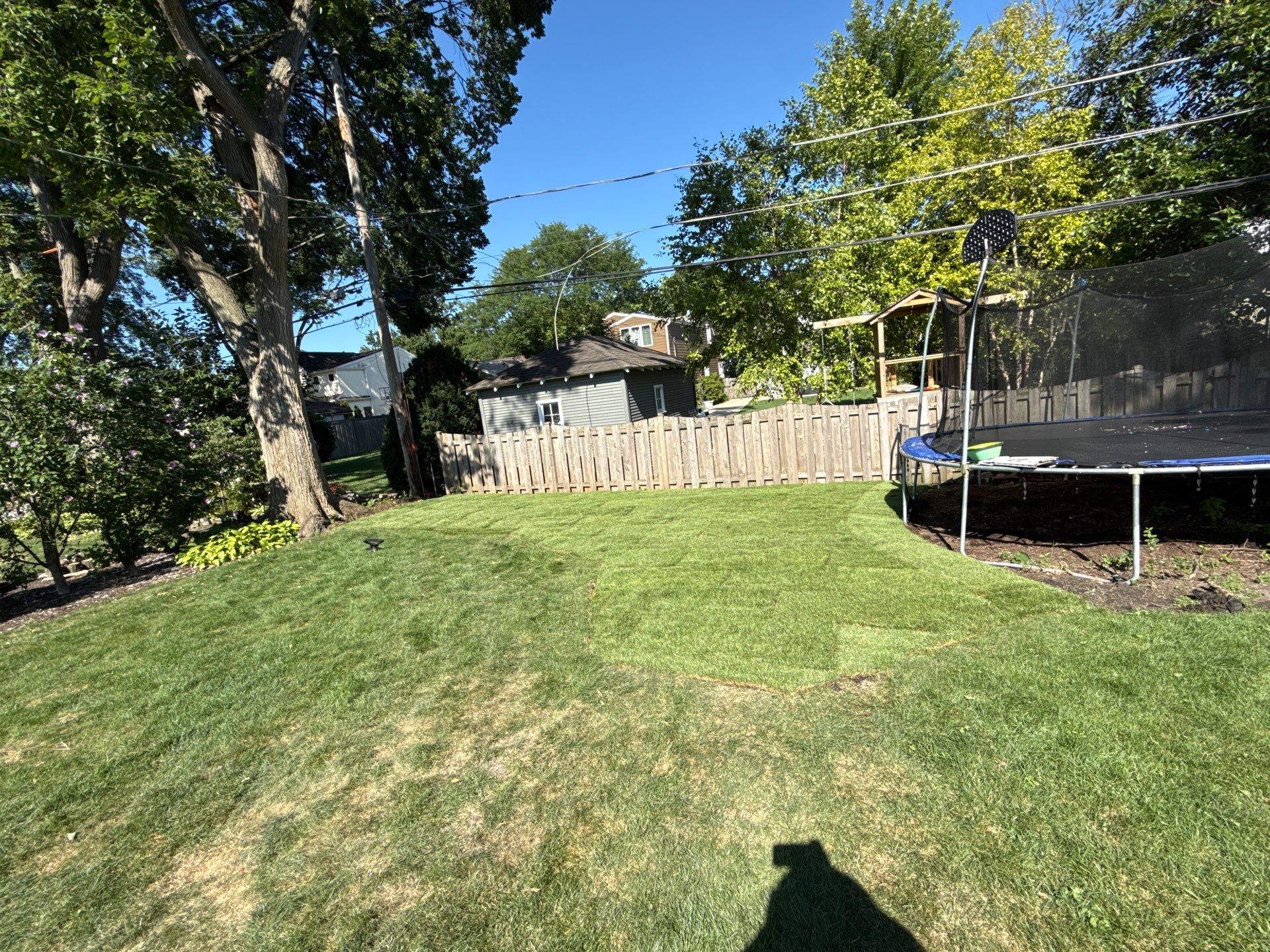 Michael A. - Mount Prospect, IL by A&N