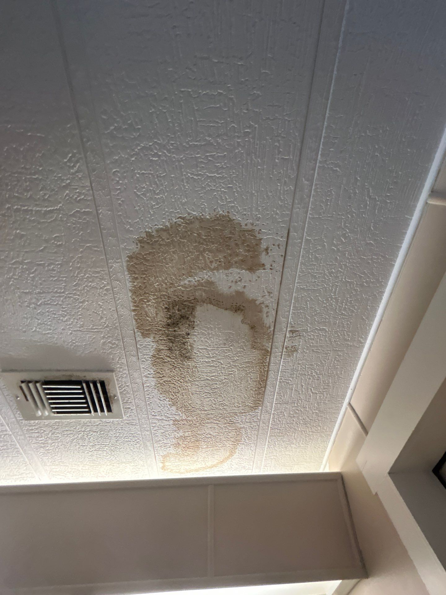 Mold Inspection And Repair In Bradenton by Ampm Restoration Services