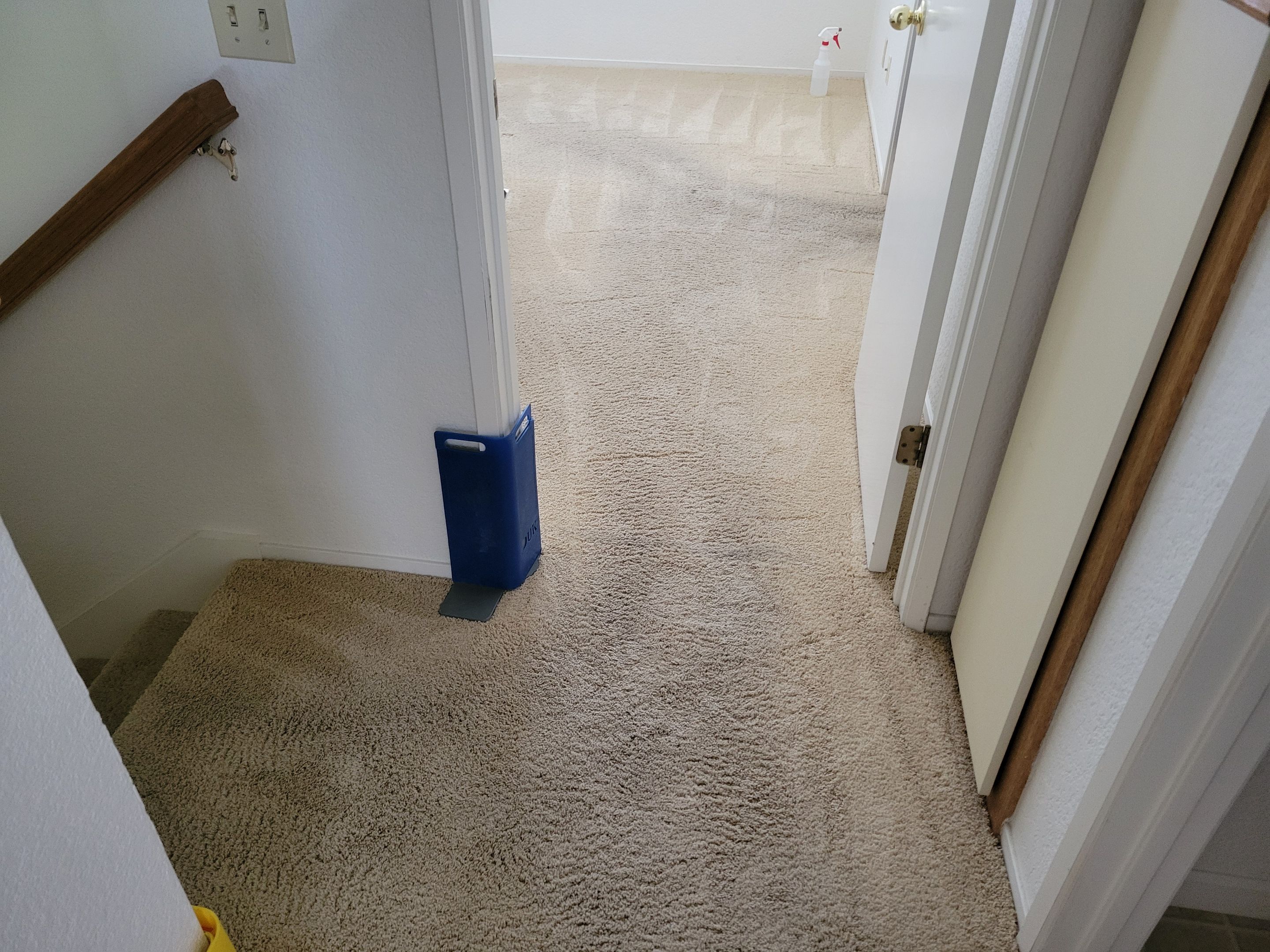 Carpet Re-stretching and Cleaning by Ardent Carpet Restore LLC