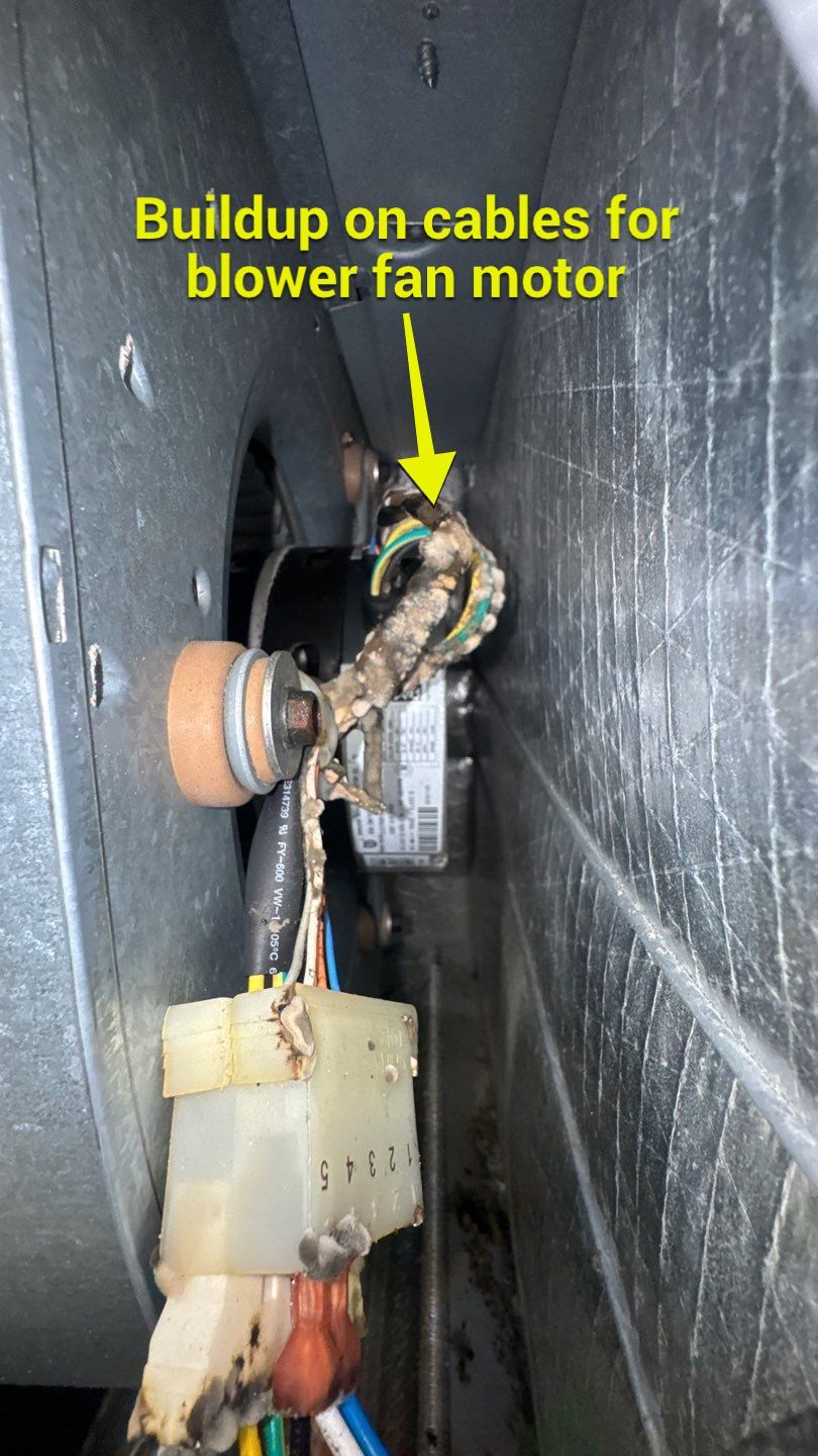 Air Duct Cleaning in Groveland by Hygienic Air, Inc