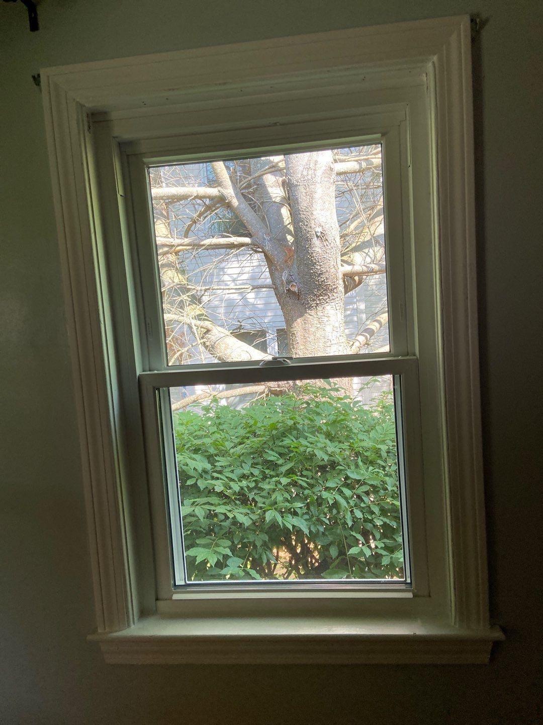 Window Installation using Mezzo Windows by Sensible Home Solutions