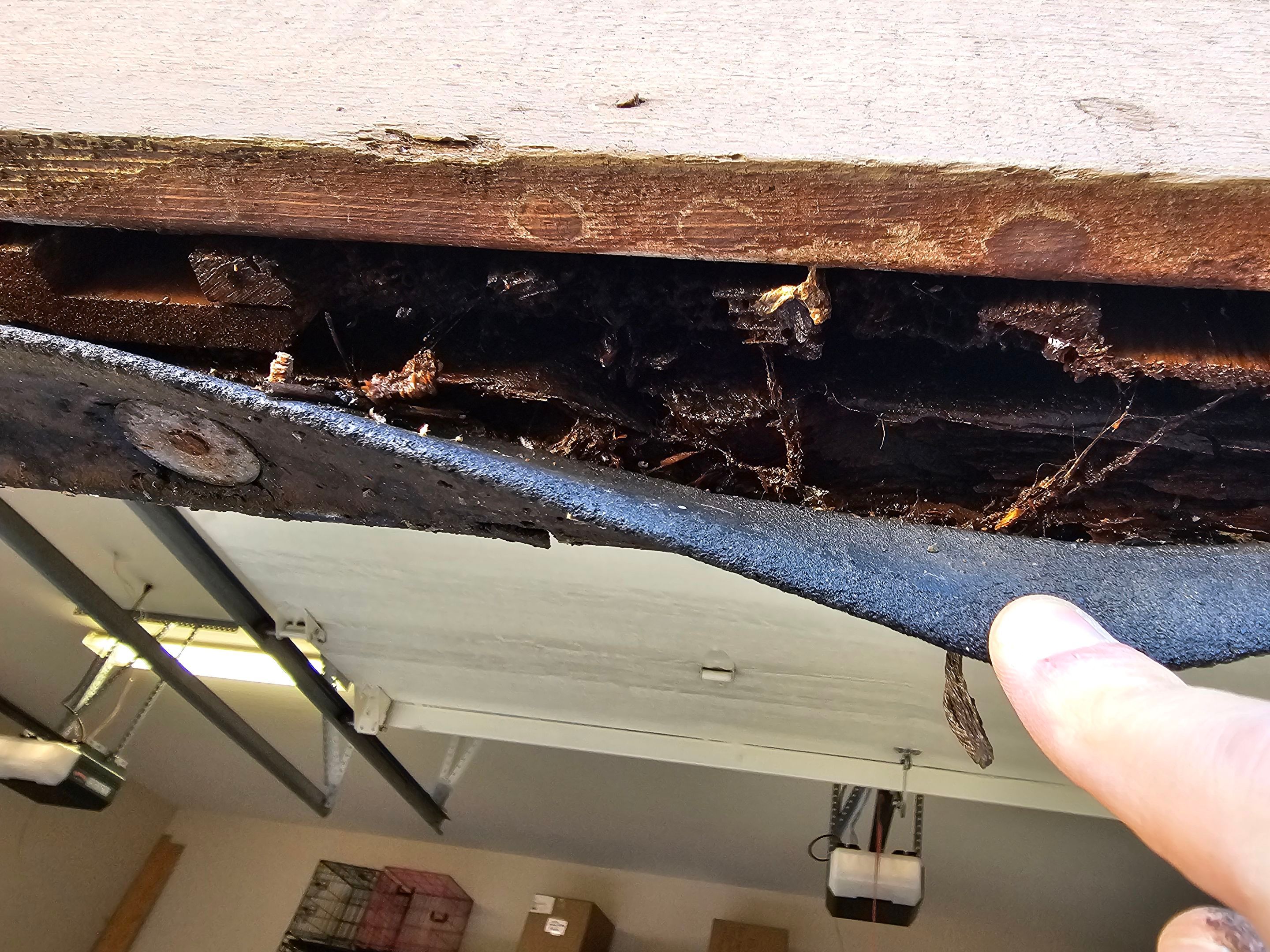 Exterior & interior paint, Garage door repairs, roof replacement & leak repairs by EL-GC LLC 