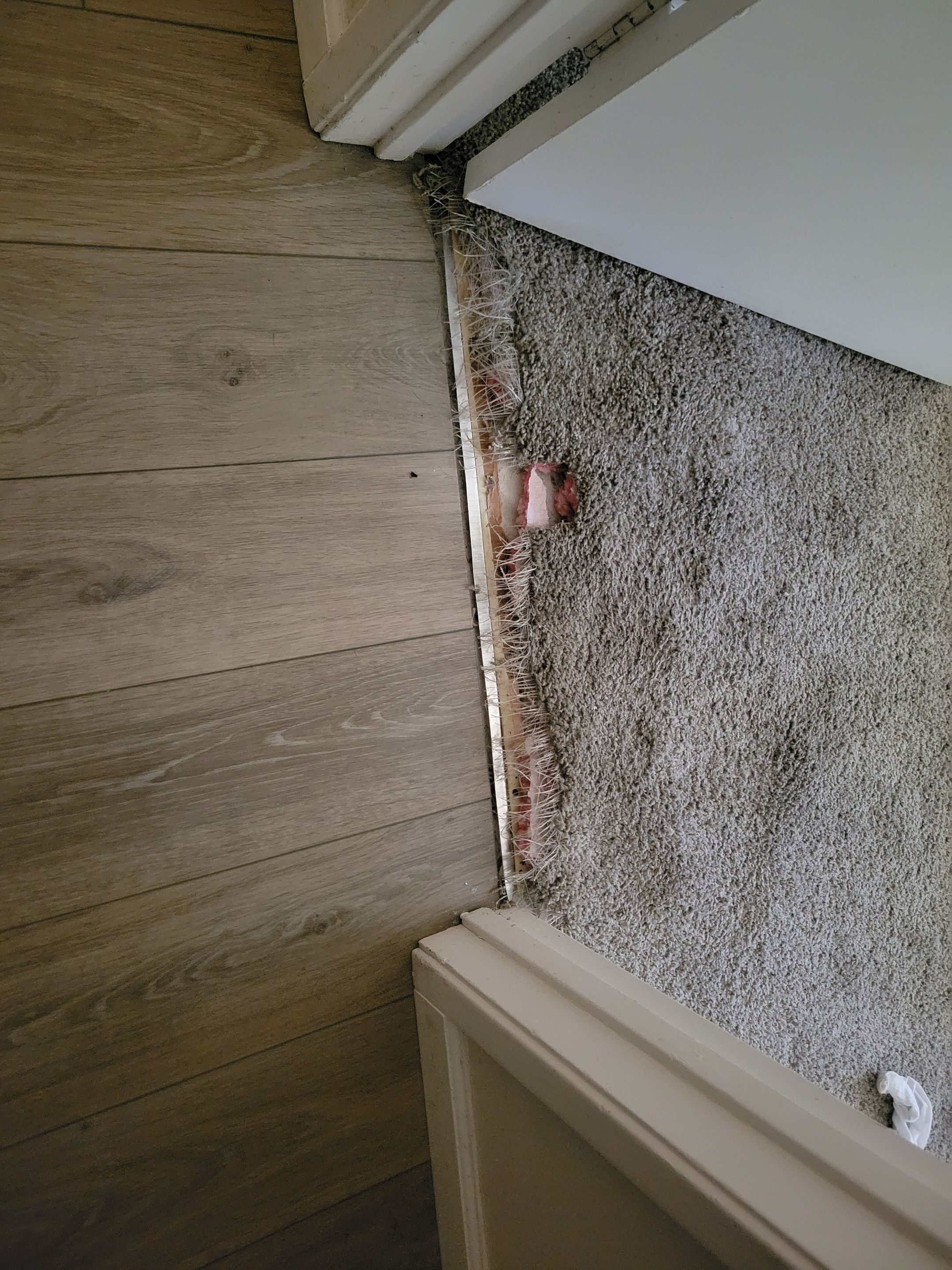 Repairing Carpet Damaged by a Dog by Ardent Carpet Restore LLC
