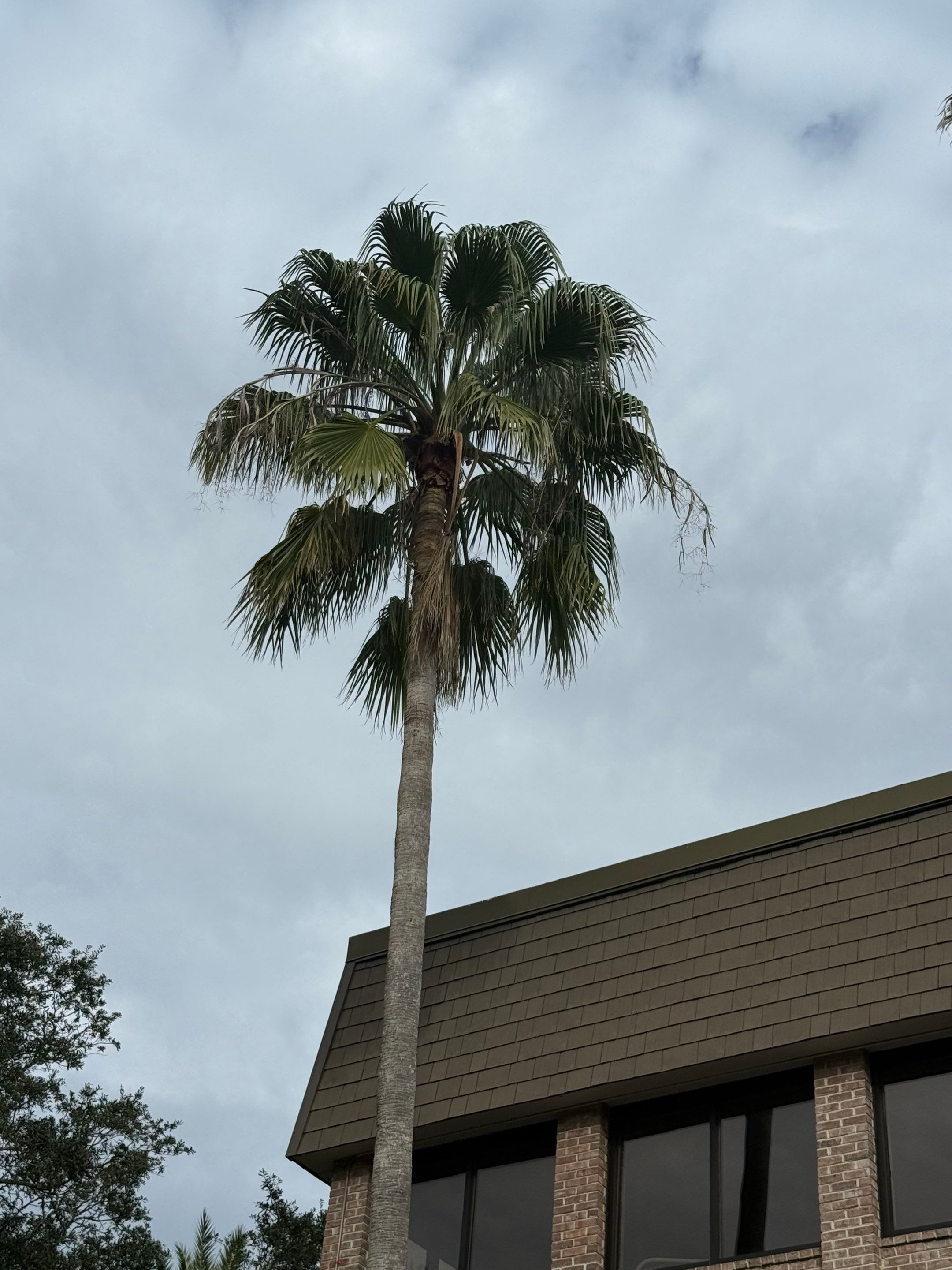 Volunteer Work | Episcopal High School of Jacksonville by ProGreen Services