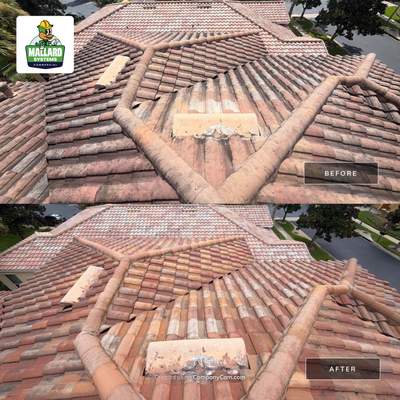 Tile Roof Cleaning in Maitland