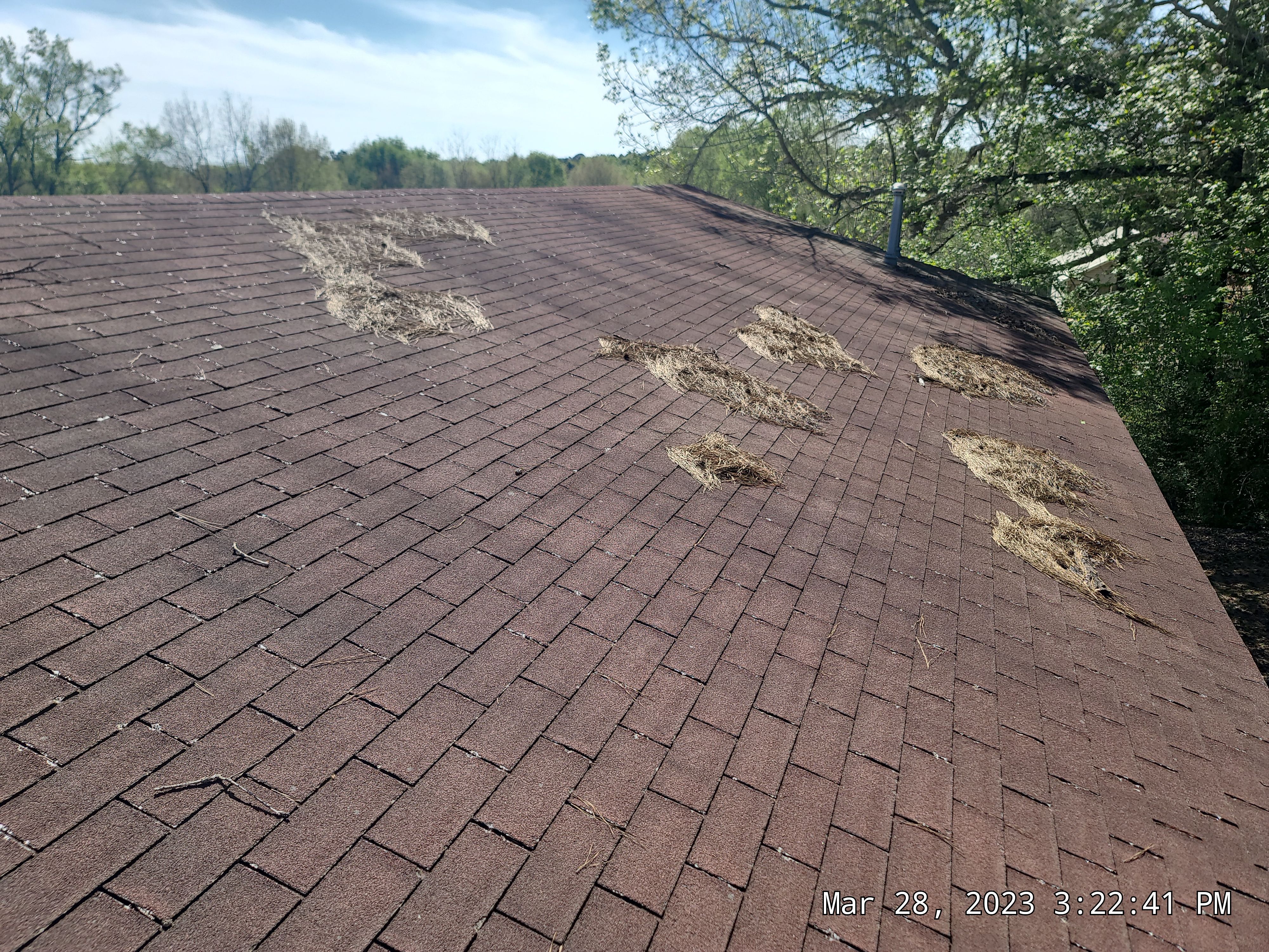 Commercial Metal Installation using Reed's Metals: 29 GA. Colored Commercial Panel by Hostetler Roofing