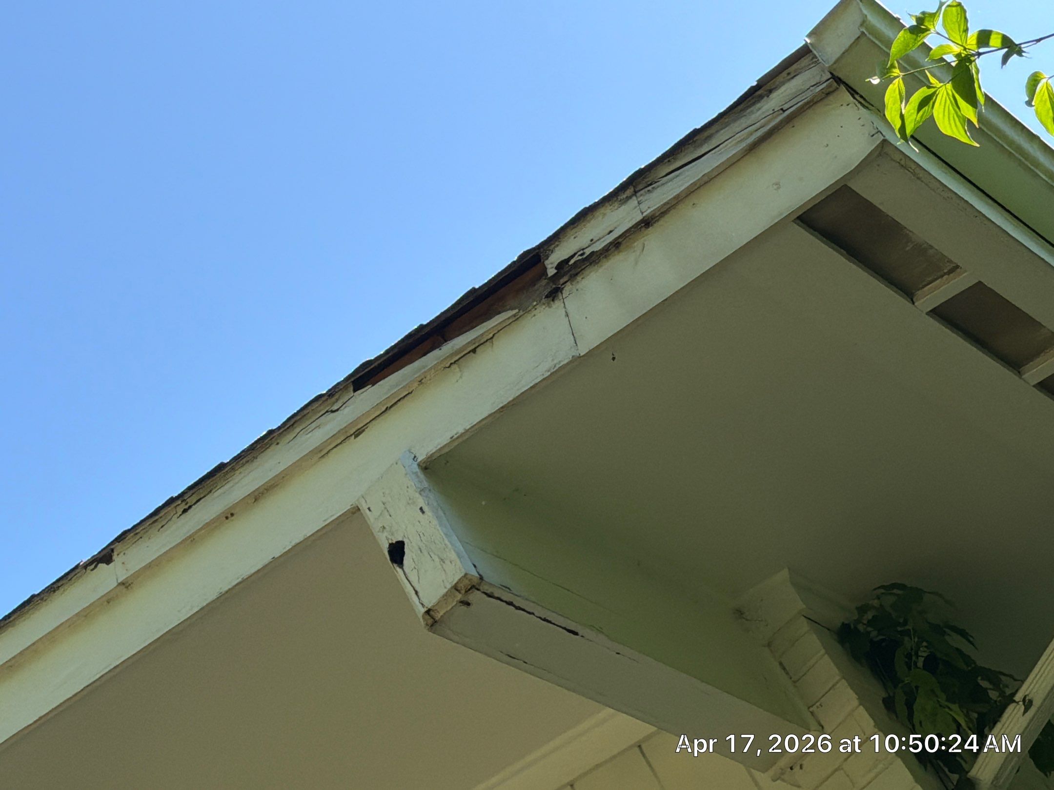 Exterior Wood Replacement and Fascia Repairs in Oxford by PGP Surface Solutions, LLC