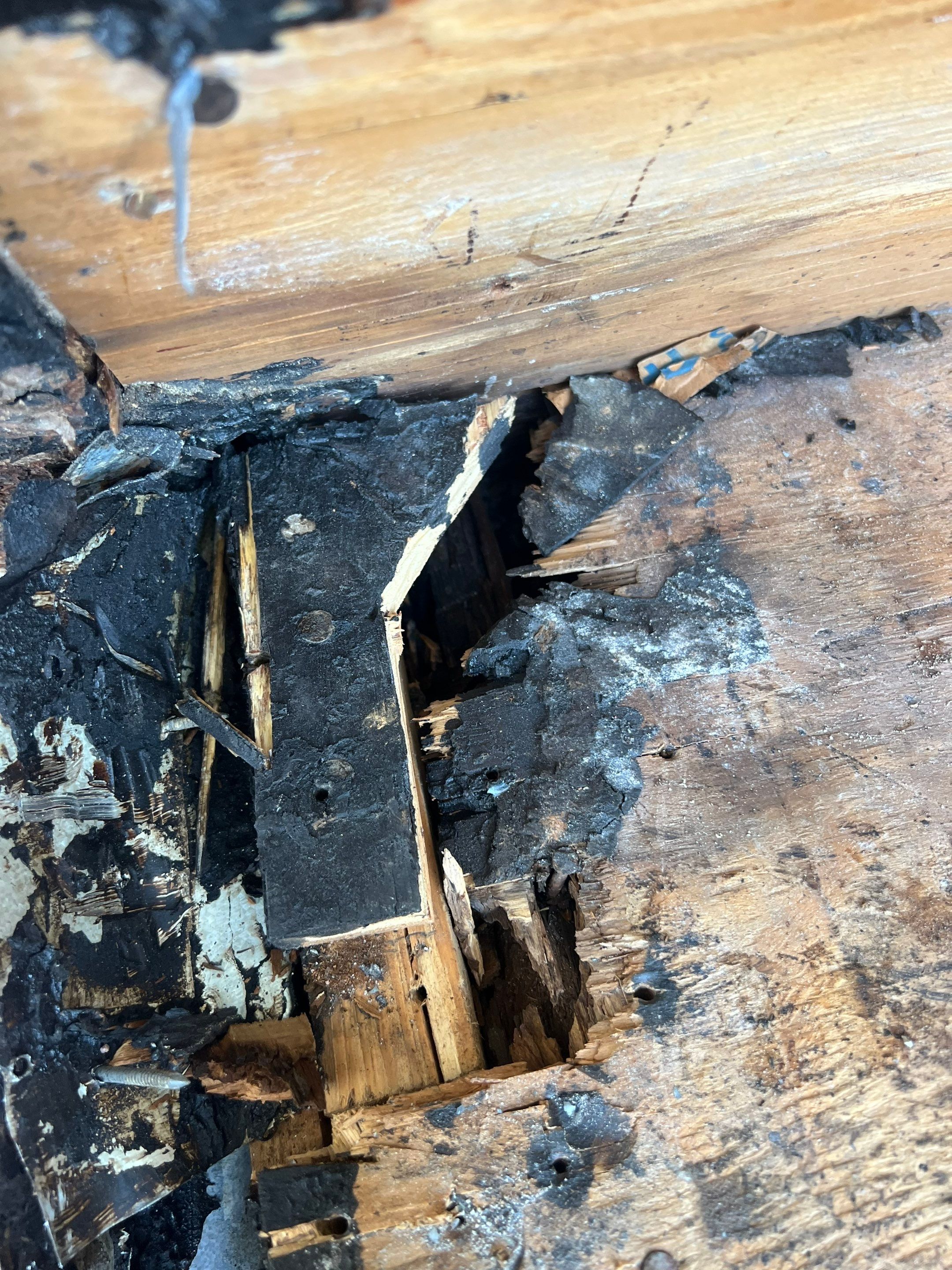 Natures Cove Rd., Dania Beach, FL by G&J Roofing 