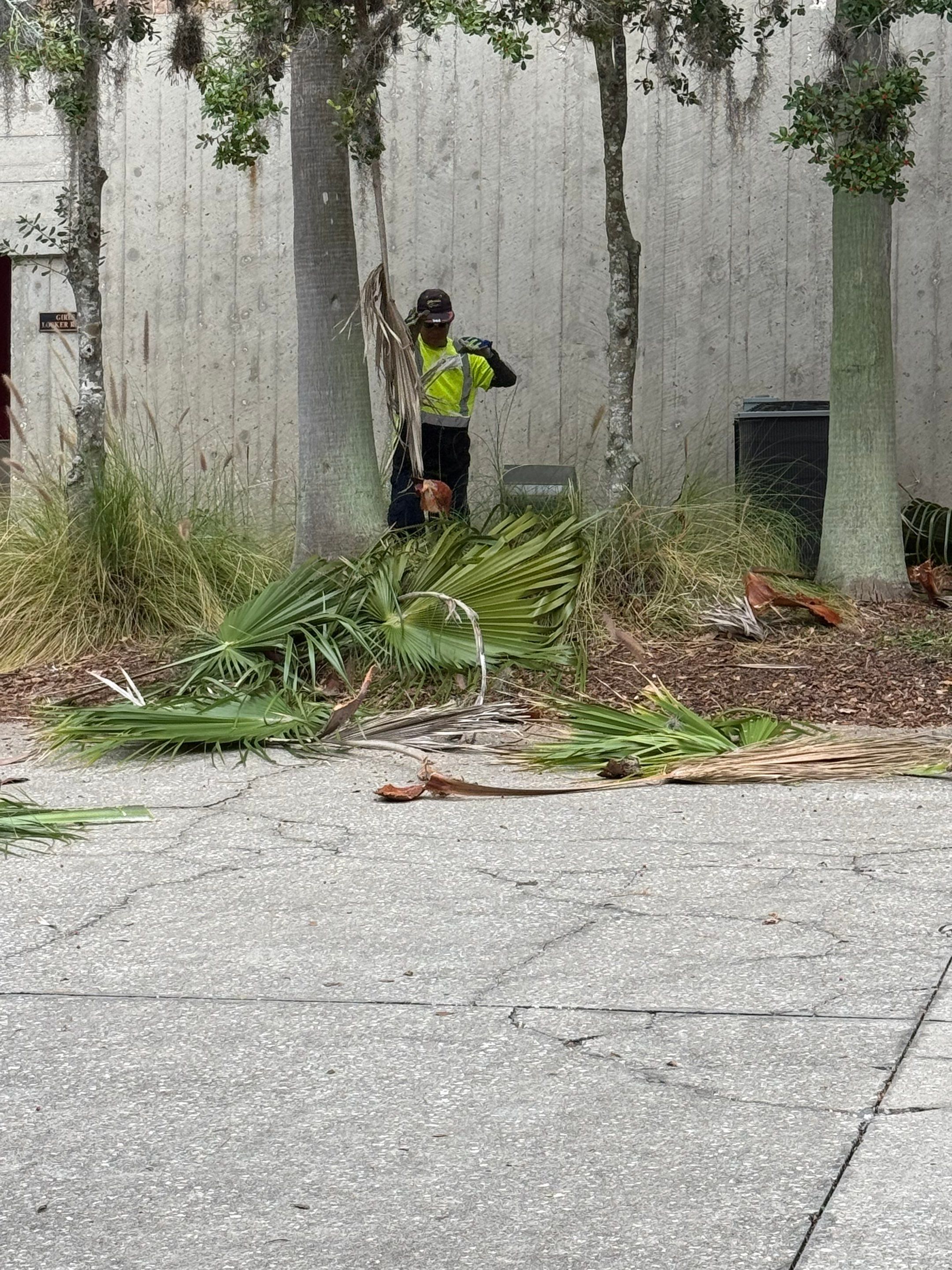 Volunteer Work | Episcopal High School of Jacksonville by ProGreen Services