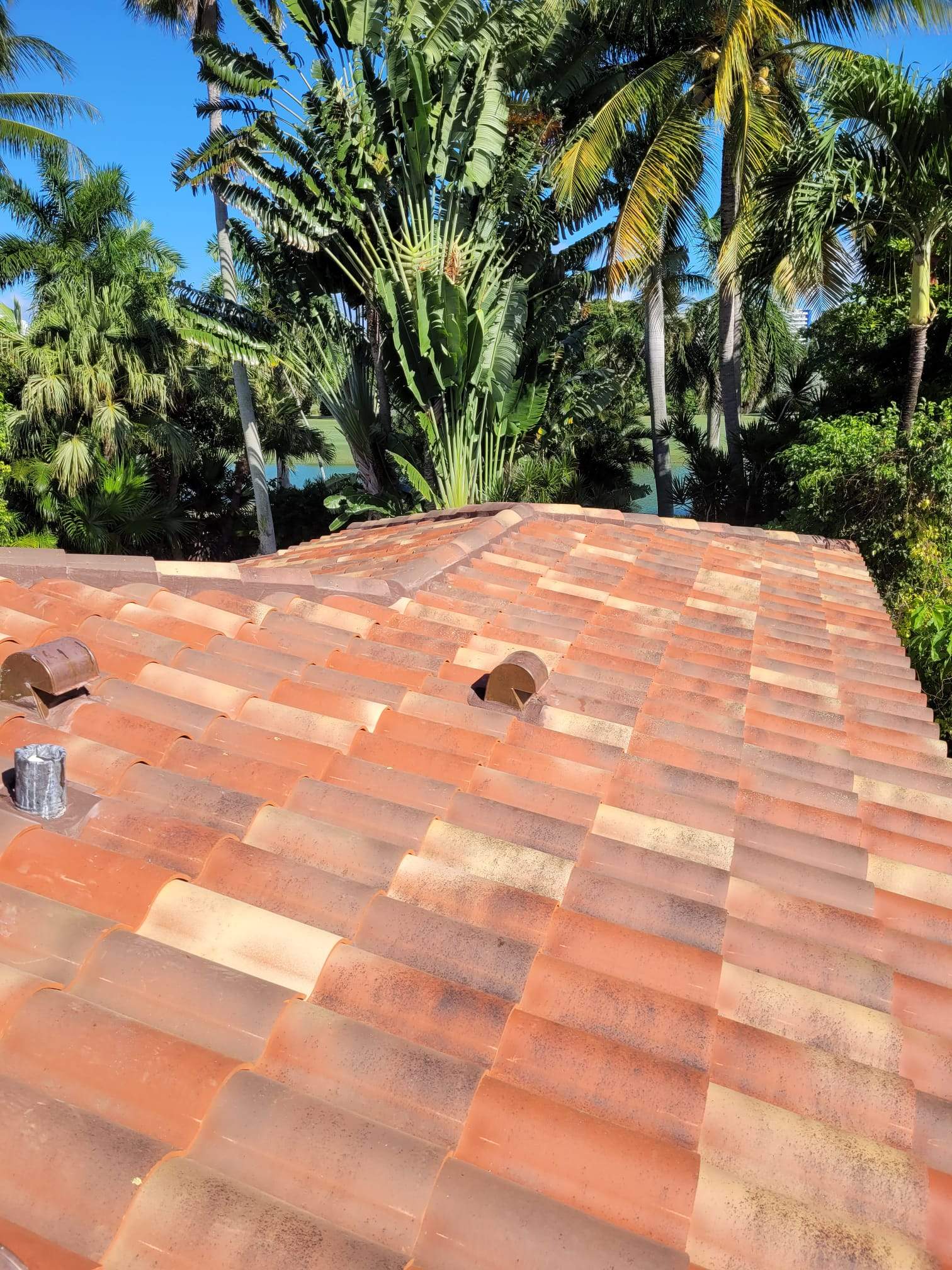 Verea - Spanish S - Jacobea by Istueta Roofing