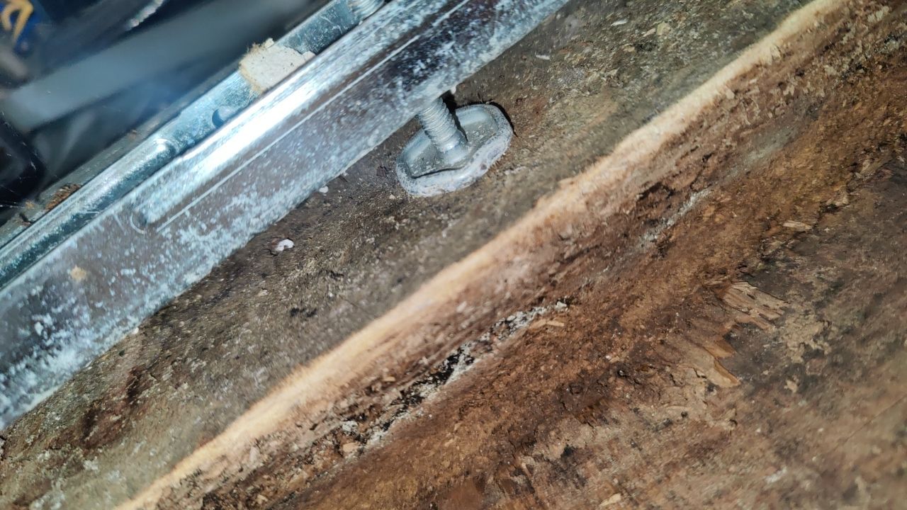 Mold Damage by Accountable Home Services